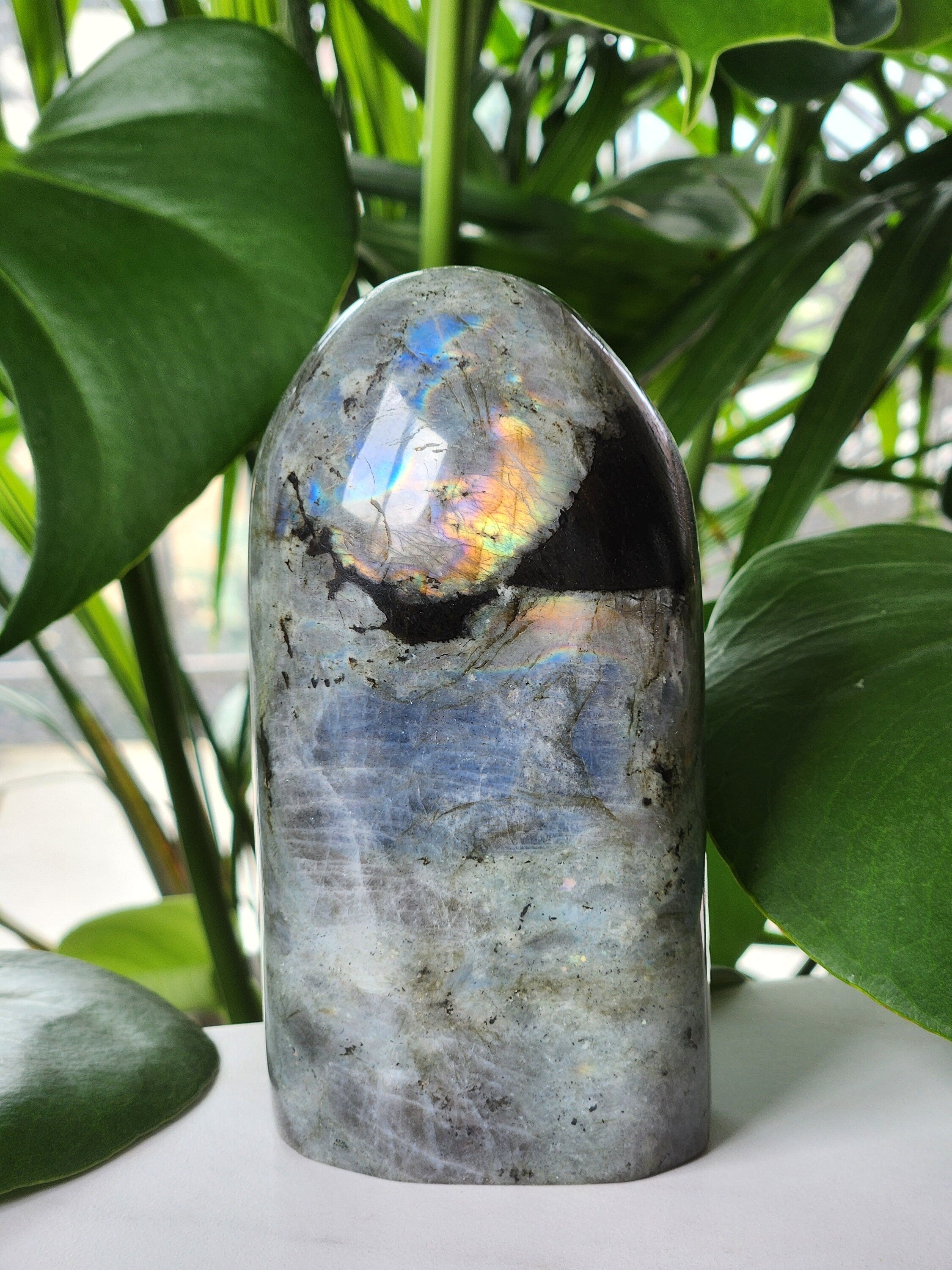 AAA High Flashy Labradorite Freeform