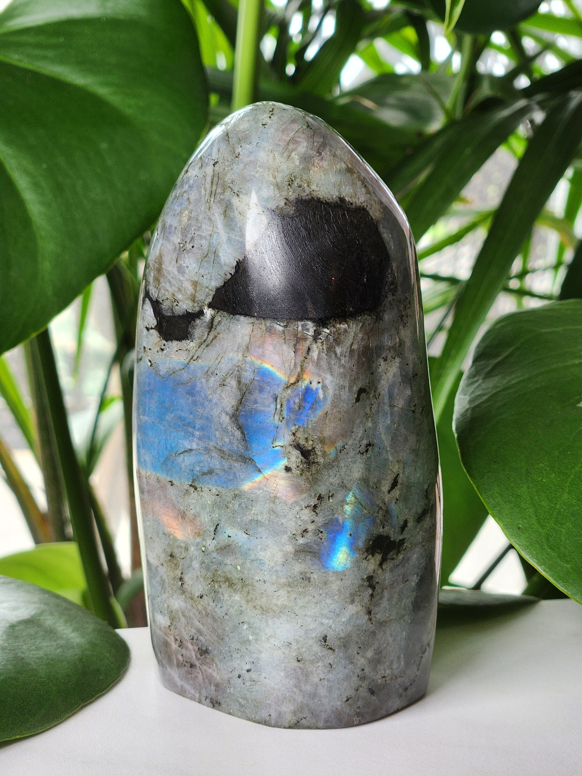 AAA High Flashy Labradorite Freeform