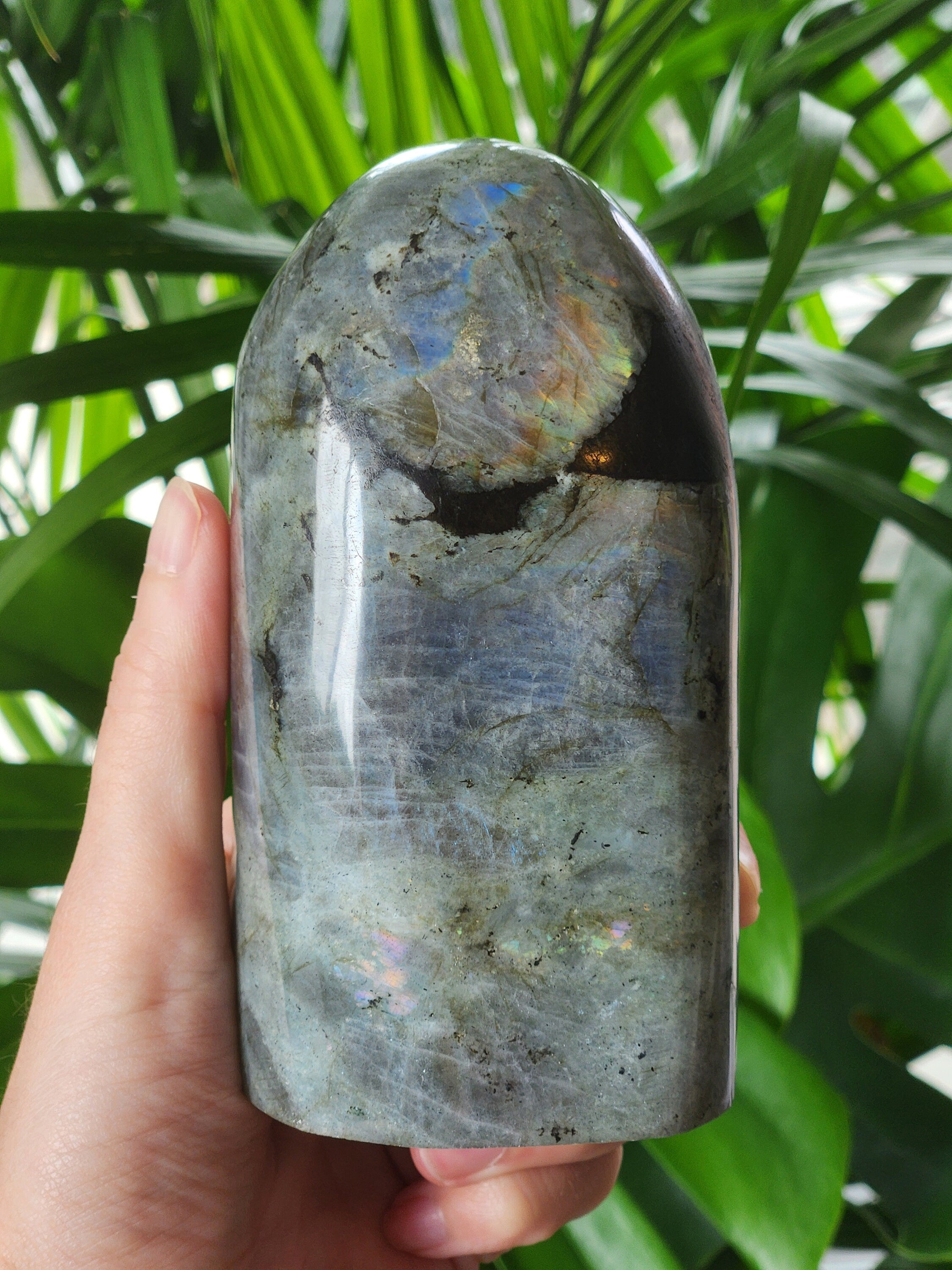 AAA High Flashy Labradorite Freeform