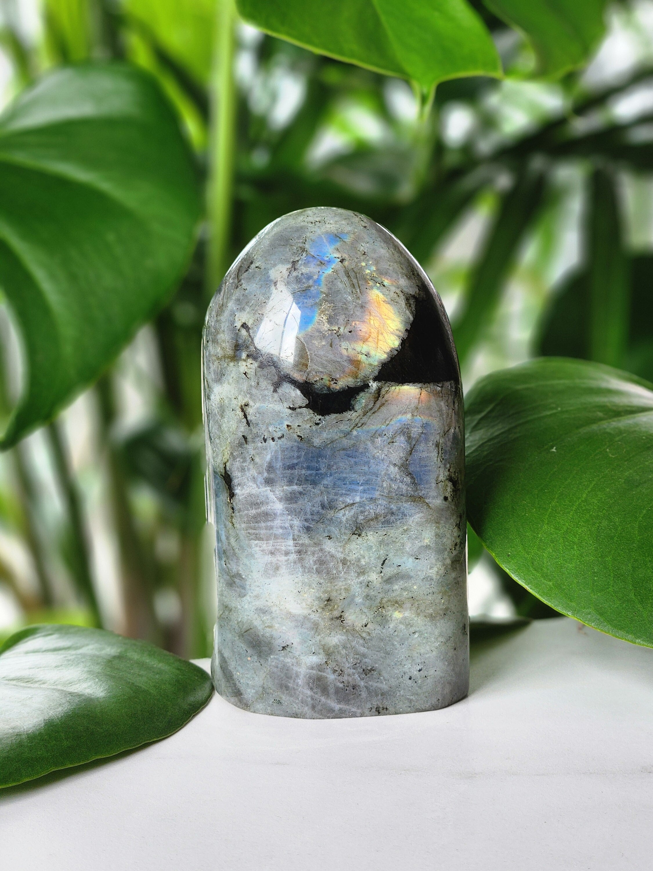 AAA High Flashy Labradorite Freeform