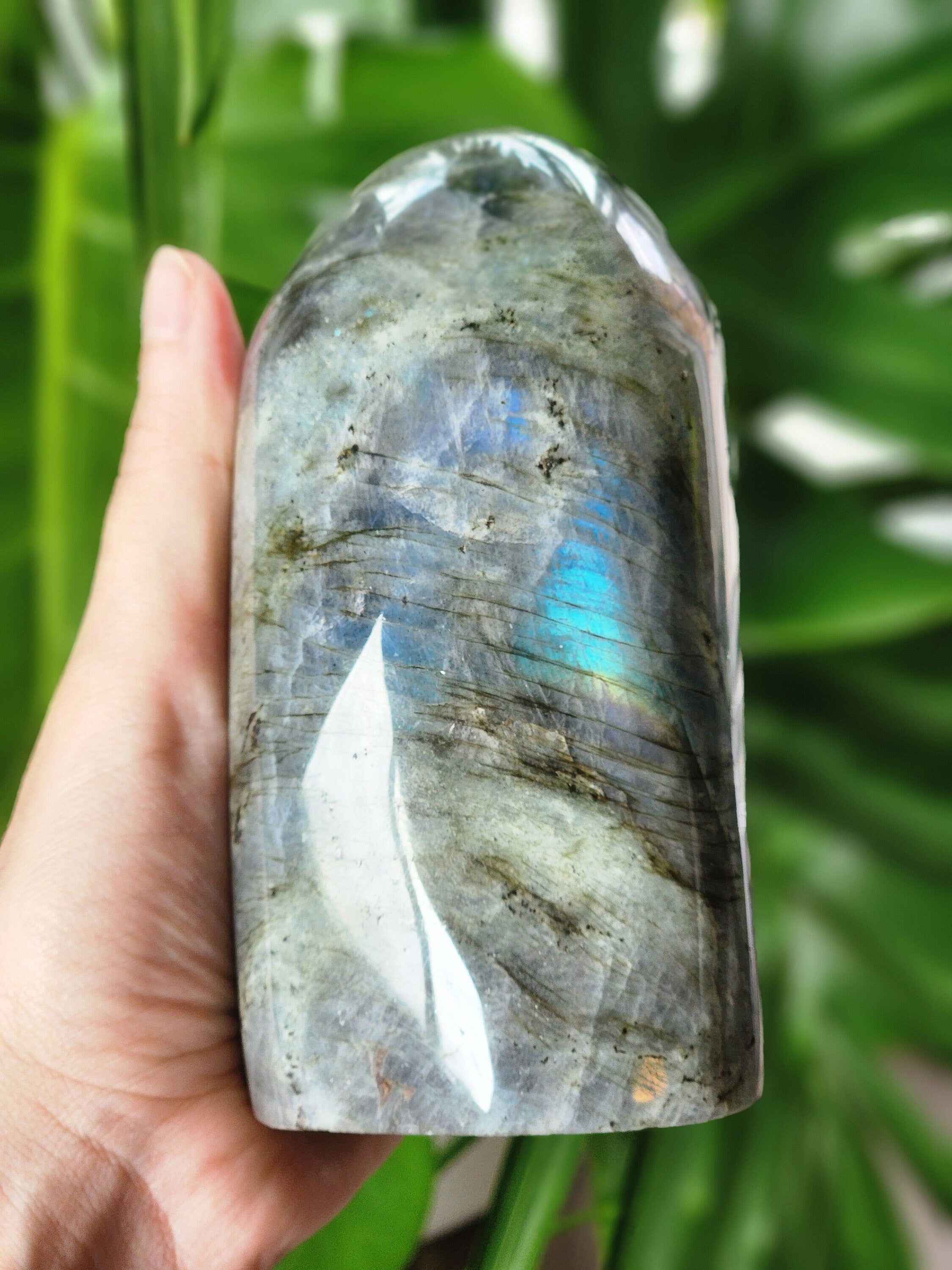 AAA High Flashy Labradorite Freeform