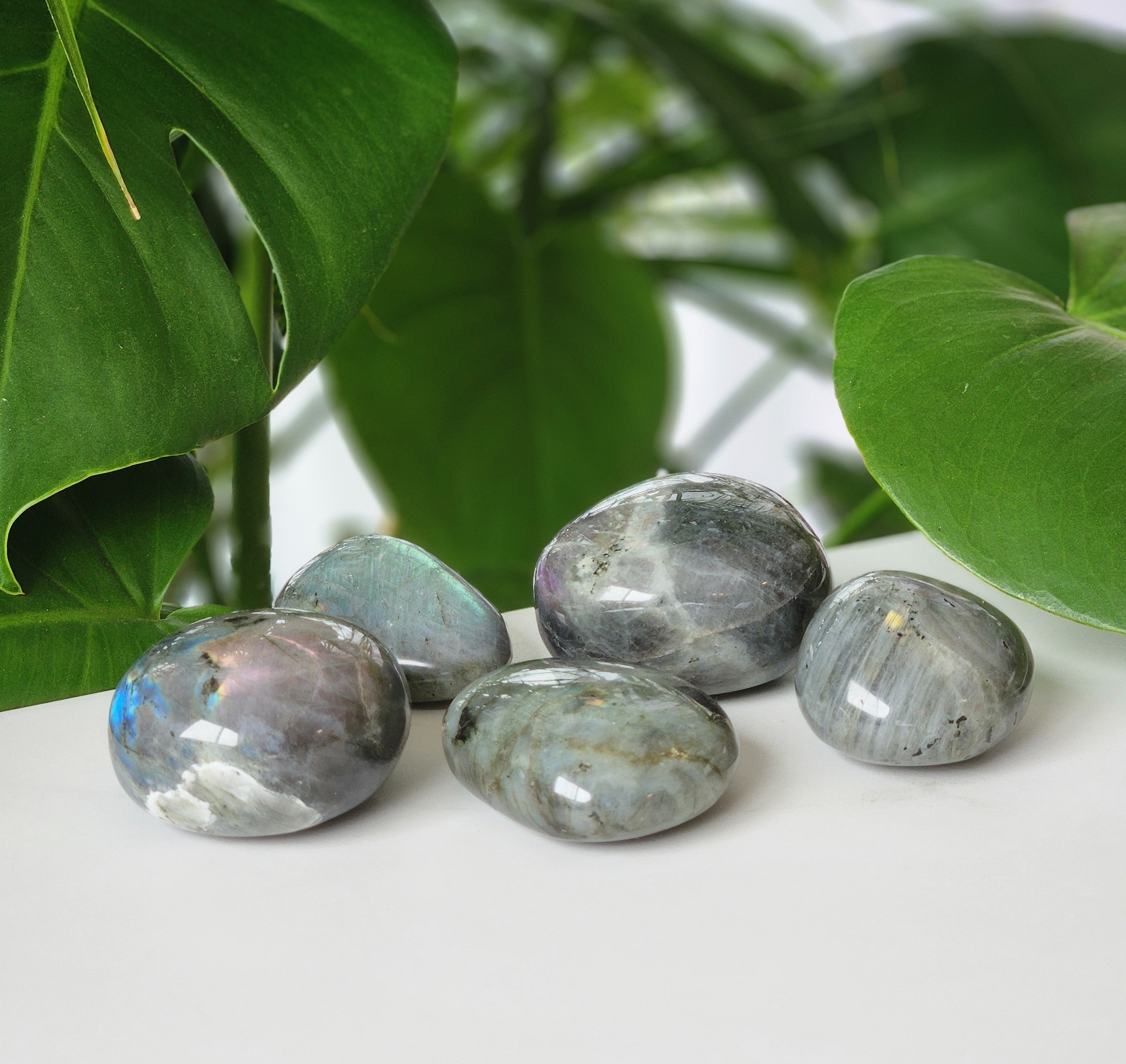 Labradorite Palm Stone