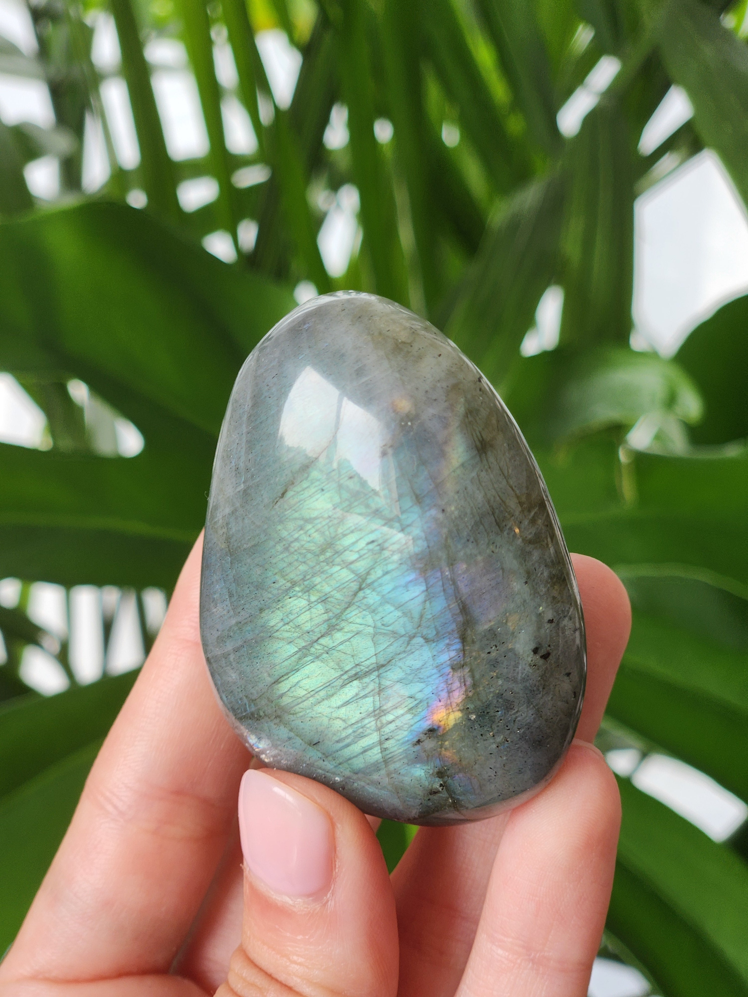 Labradorite Palm Stone