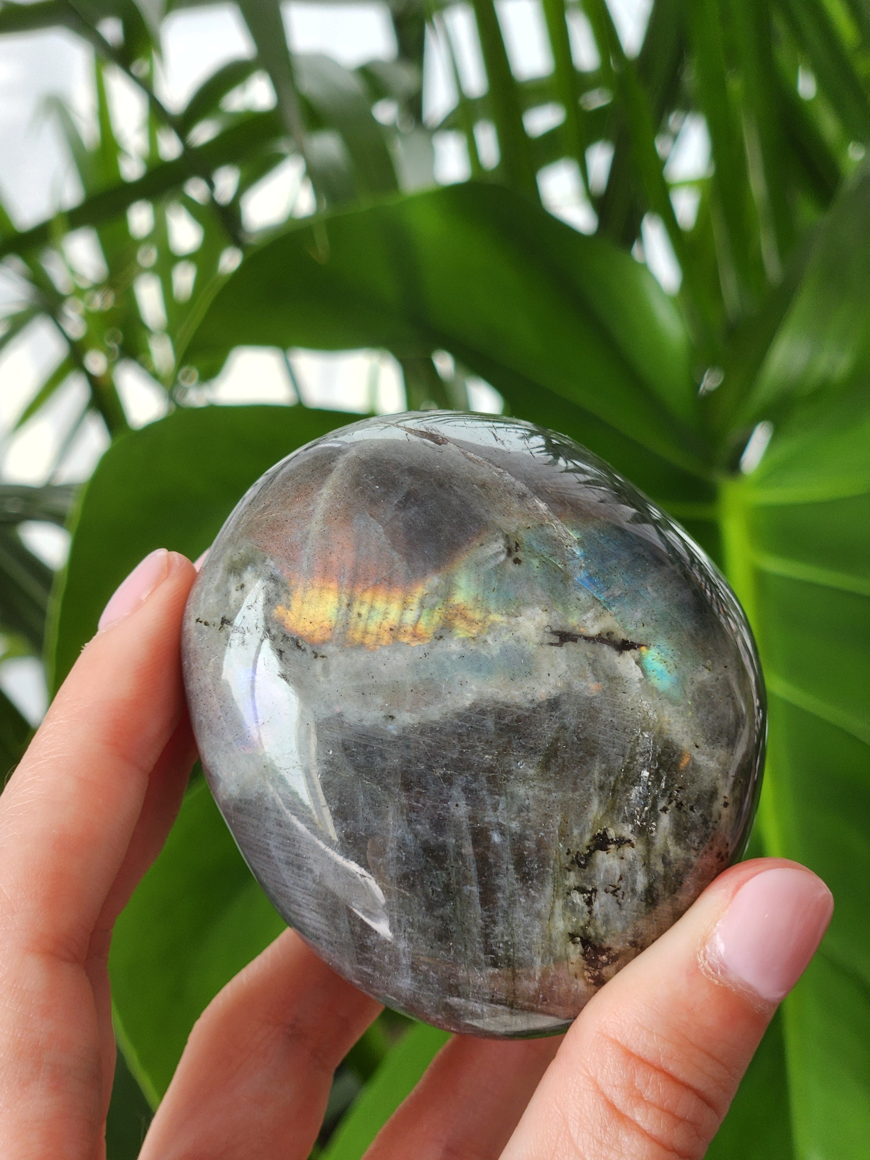 Labradorite Palm Stone