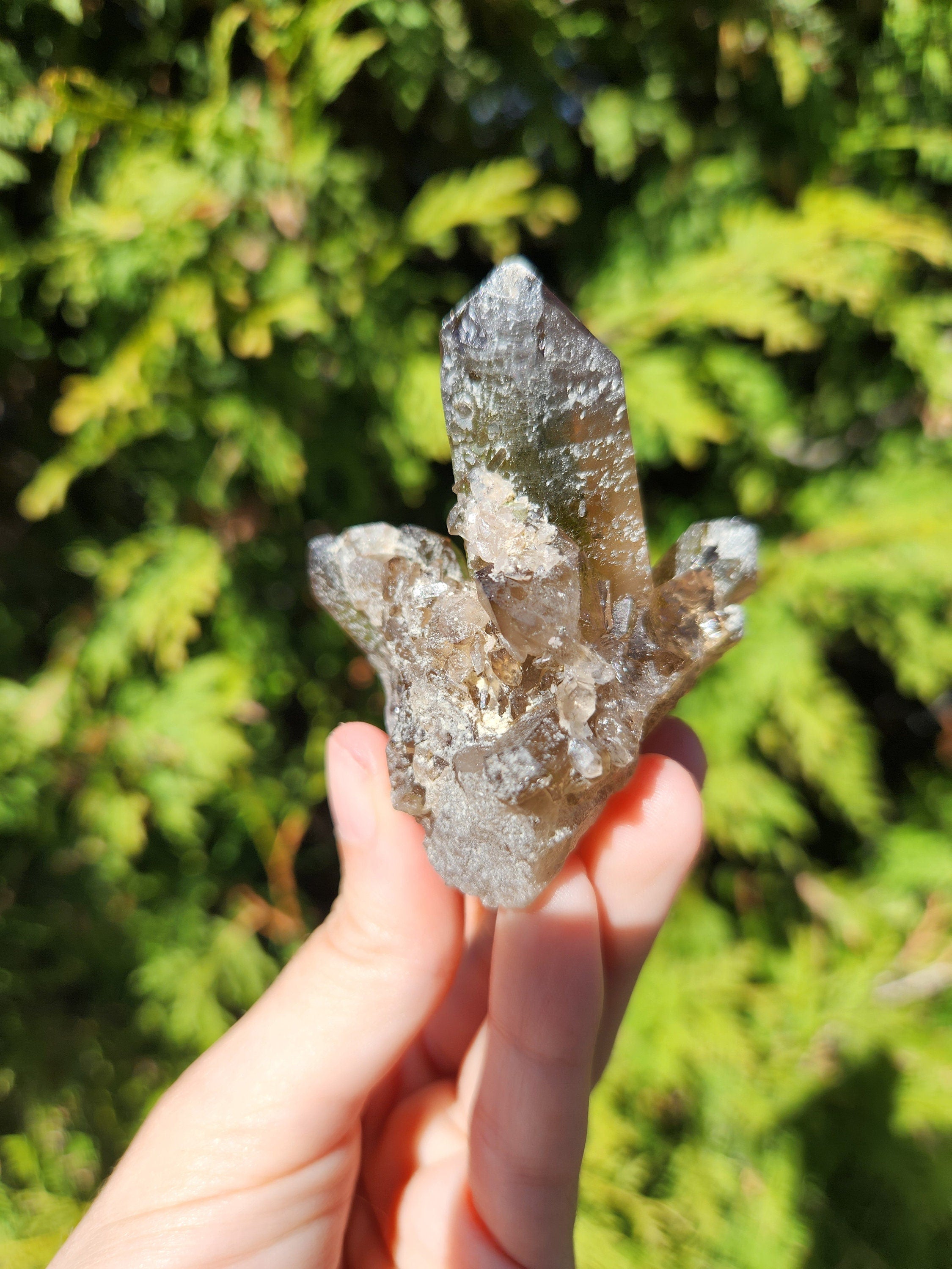 Smoky Quartz Cluster