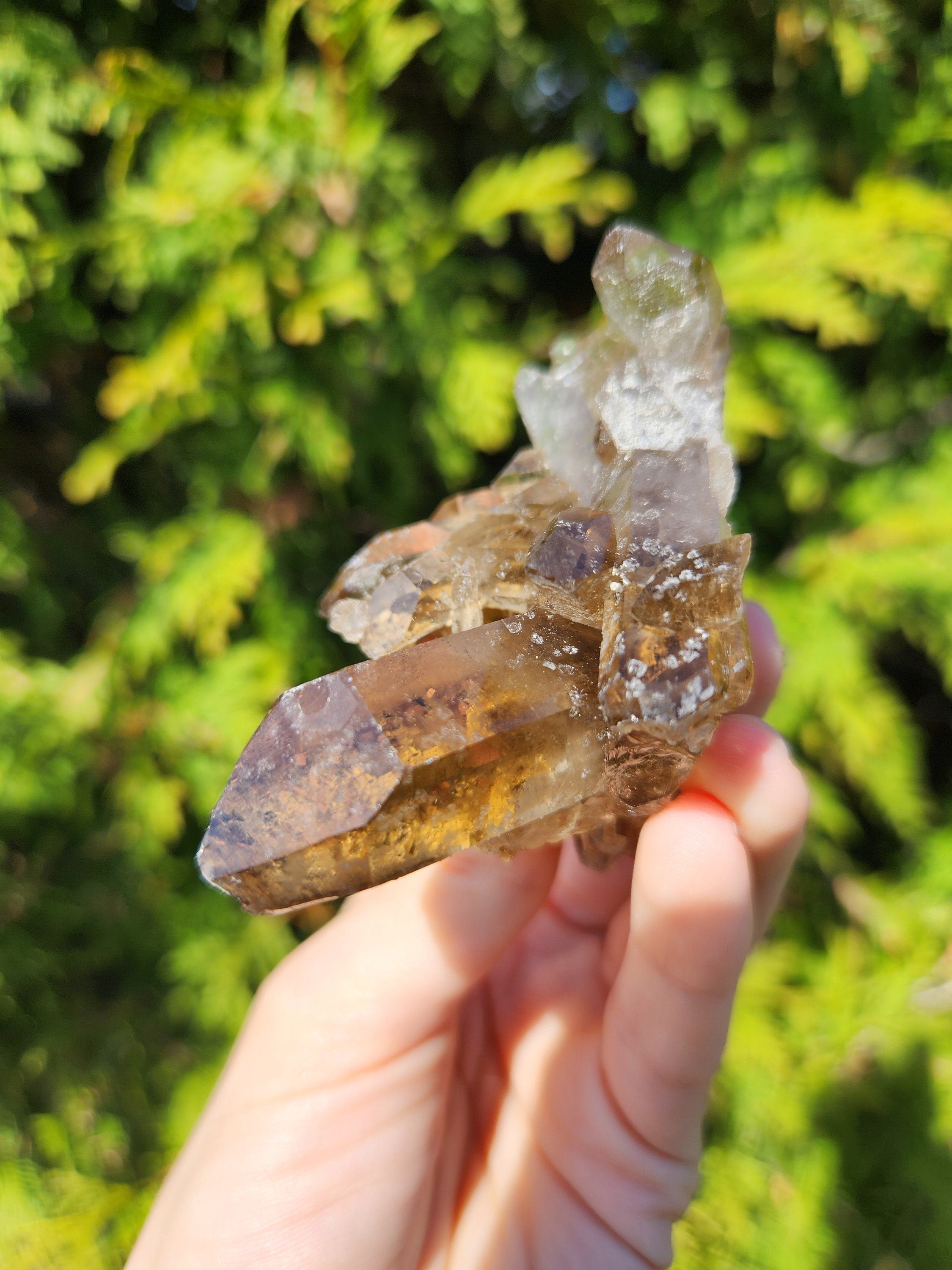 Smoky Quartz Cluster