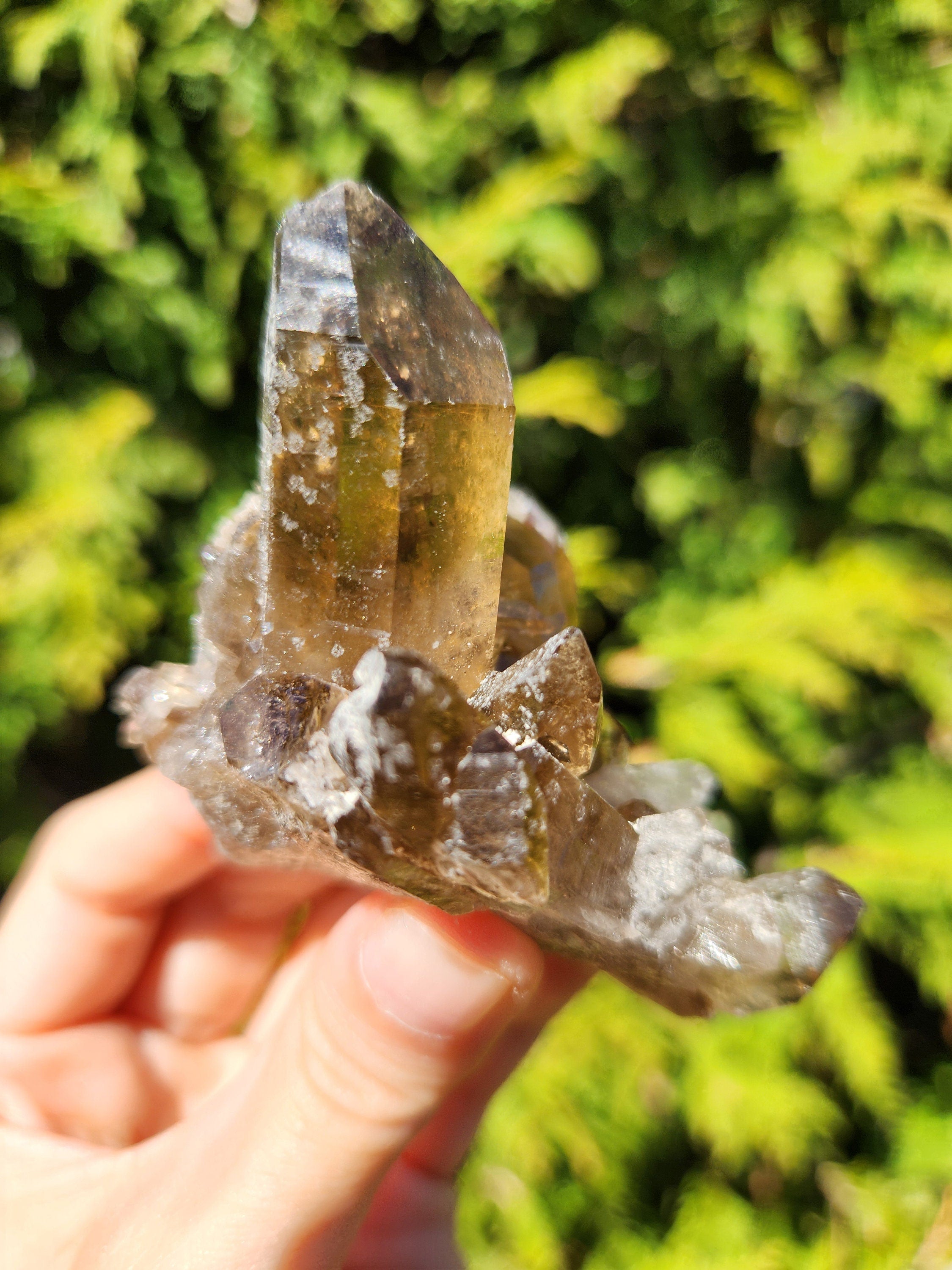 Smoky Quartz Cluster