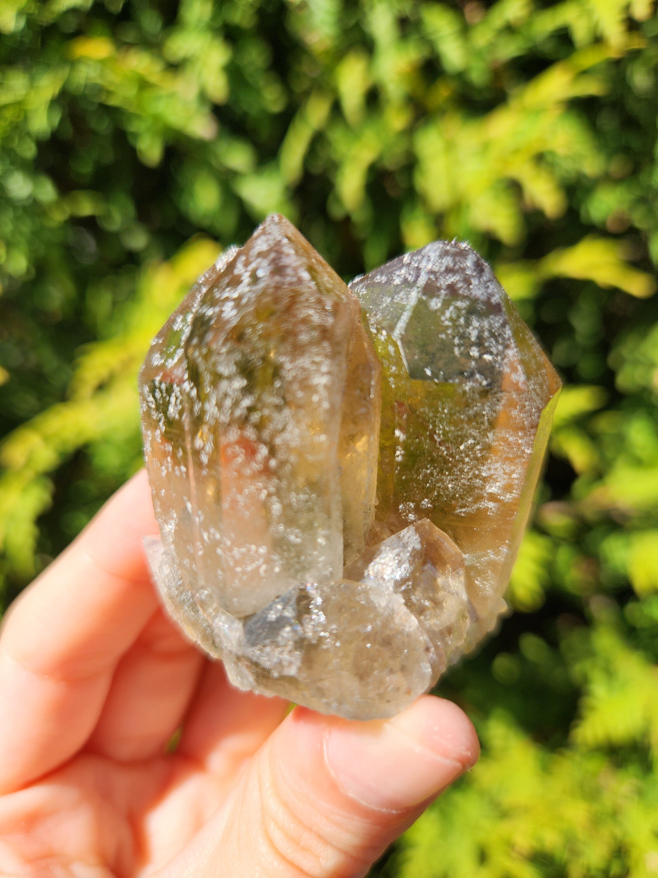 Smoky Quartz Cluster