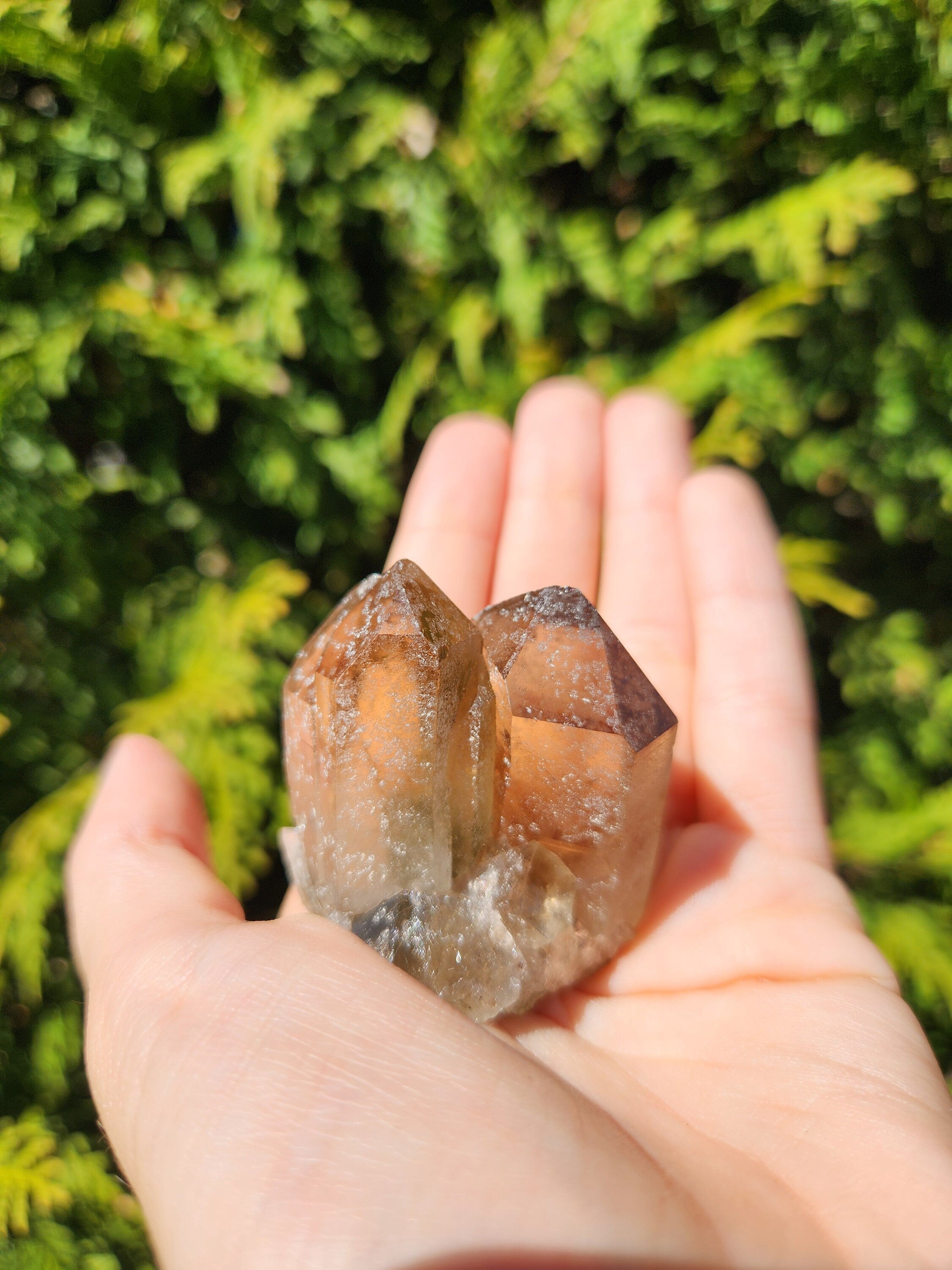 Smoky Quartz Cluster