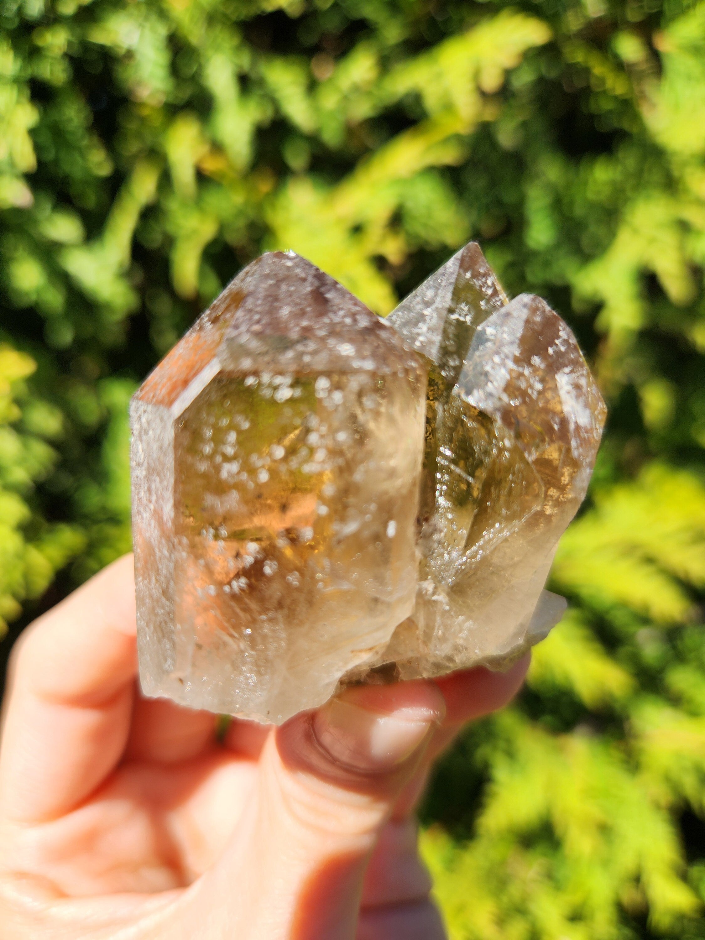 Smoky Quartz Cluster