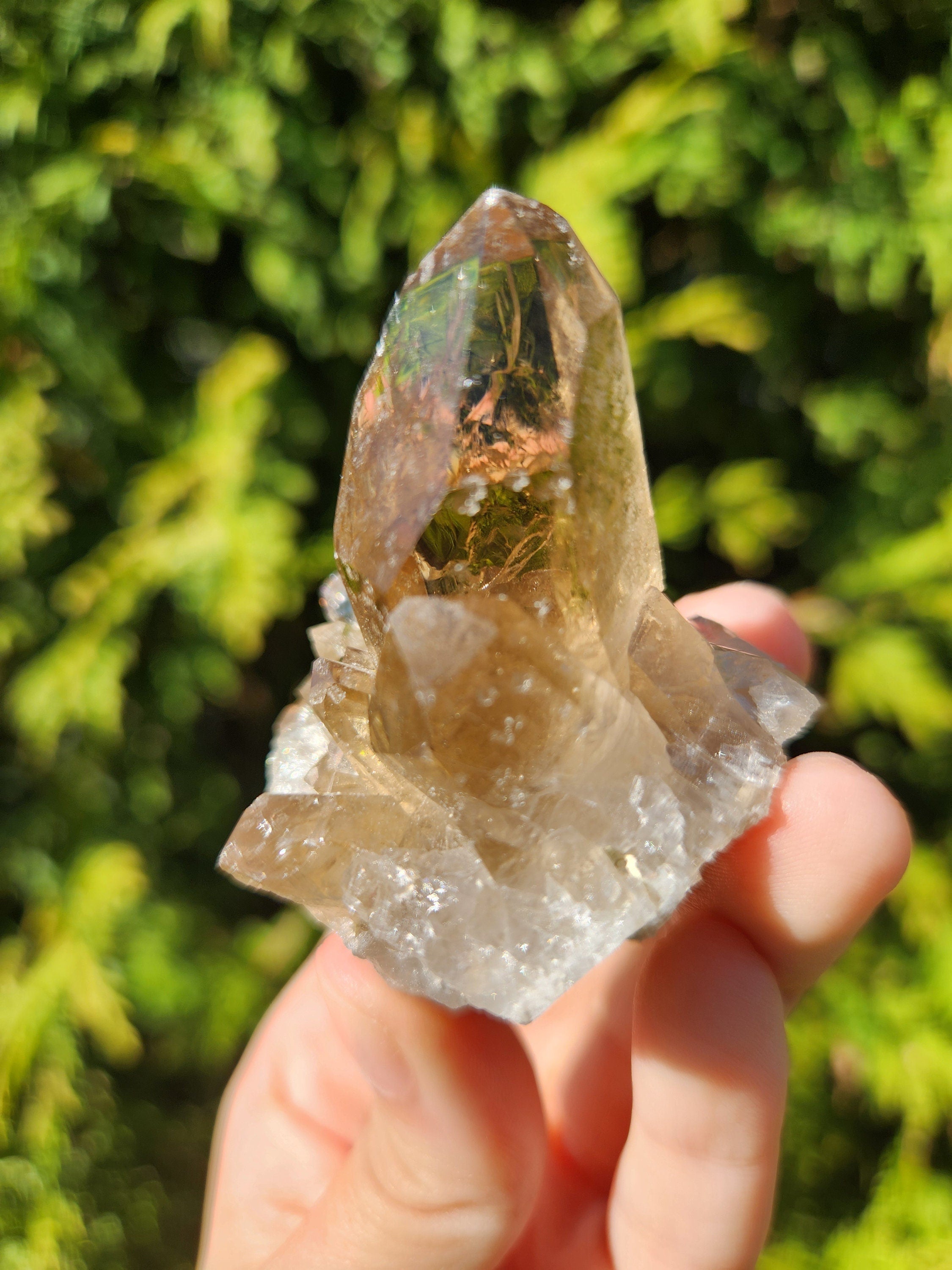 Smoky Quartz Cluster