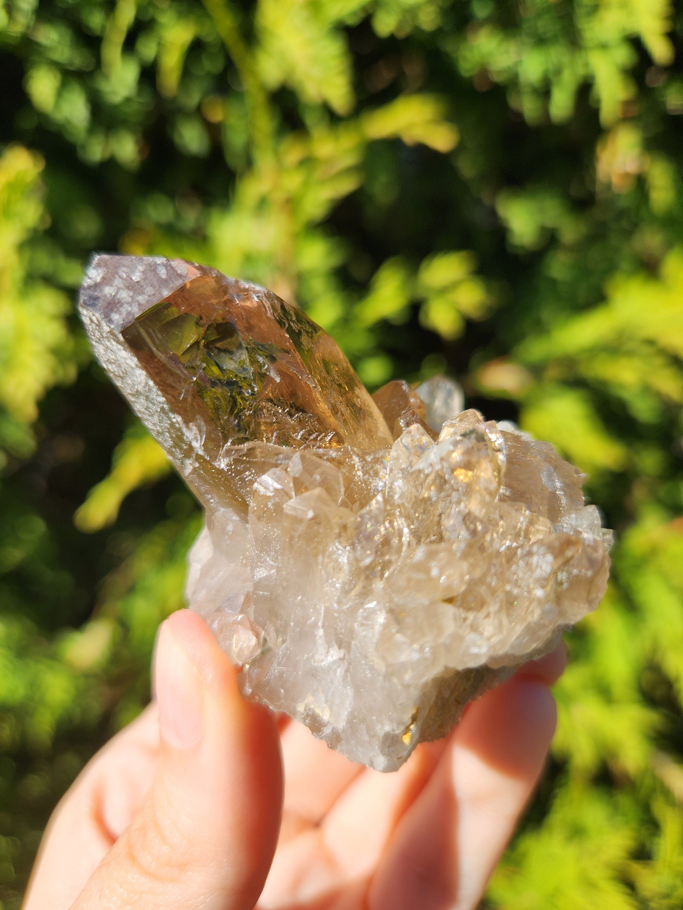 Smoky Quartz Cluster