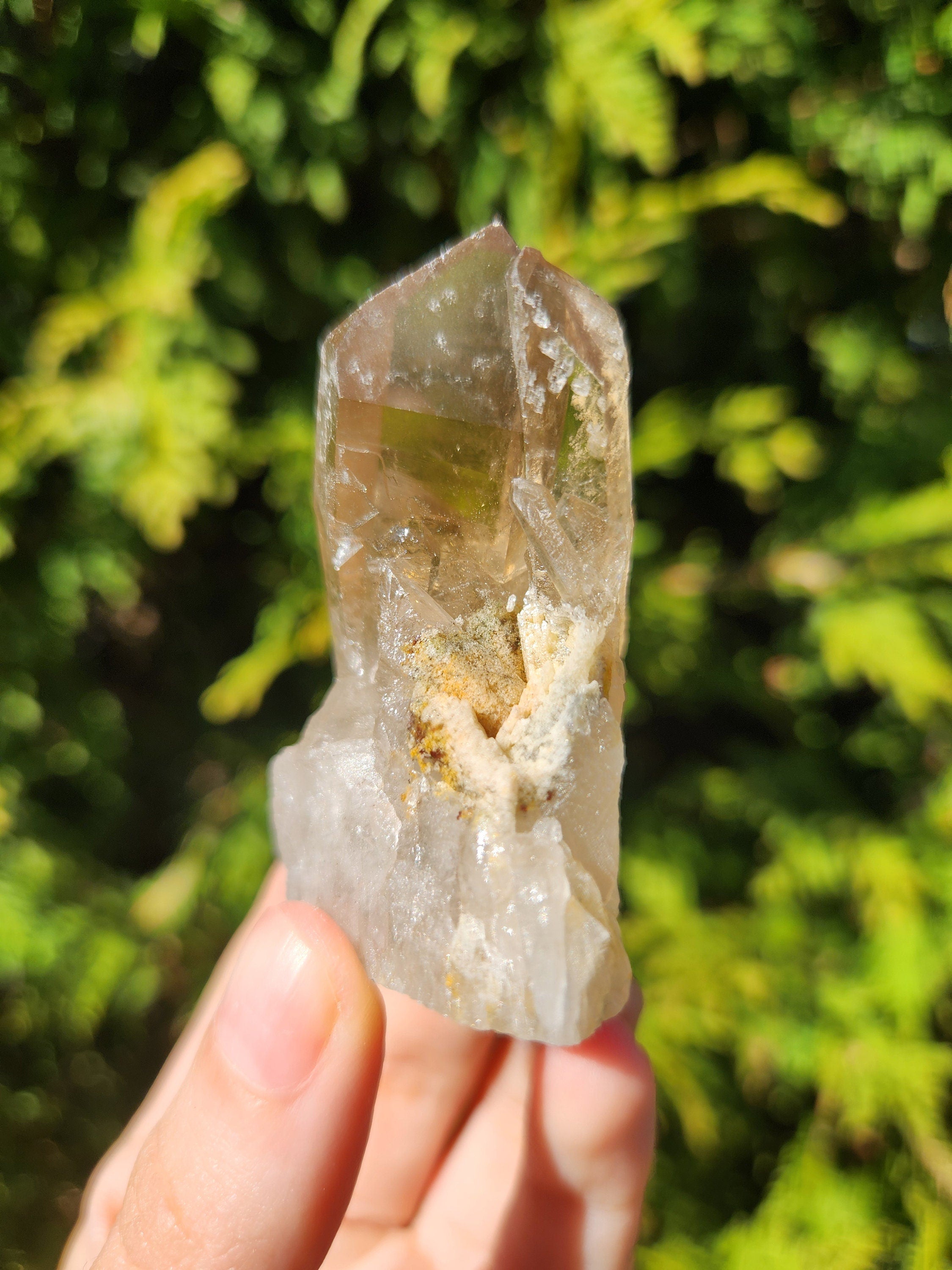 Smoky Quartz Cluster