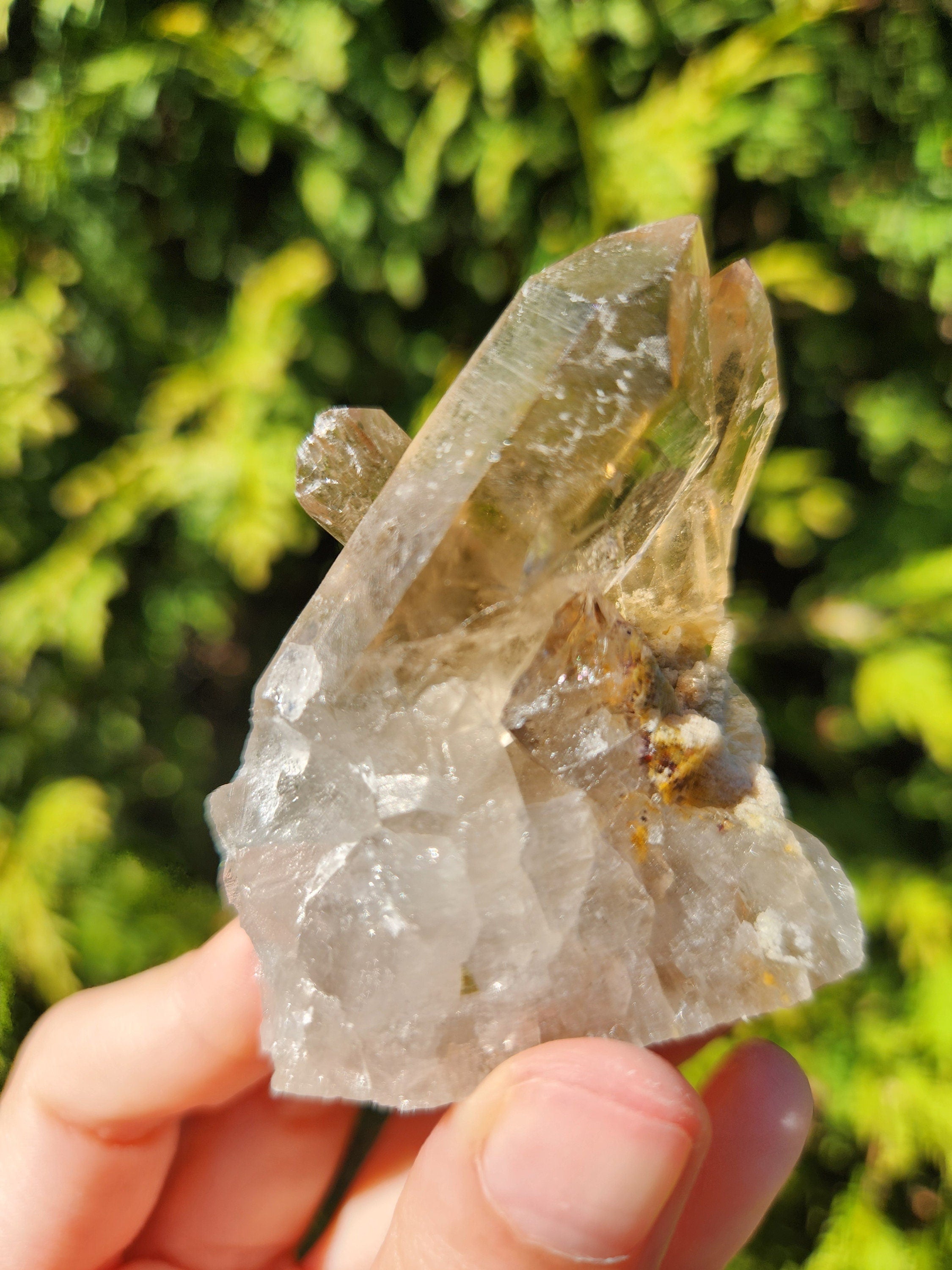 Smoky Quartz Cluster