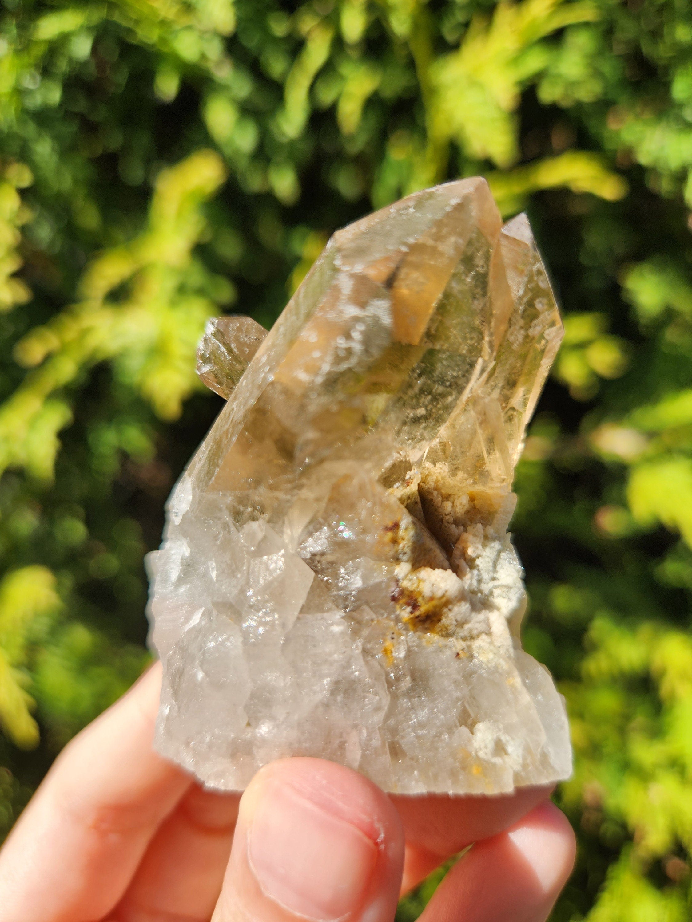 Smoky Quartz Cluster