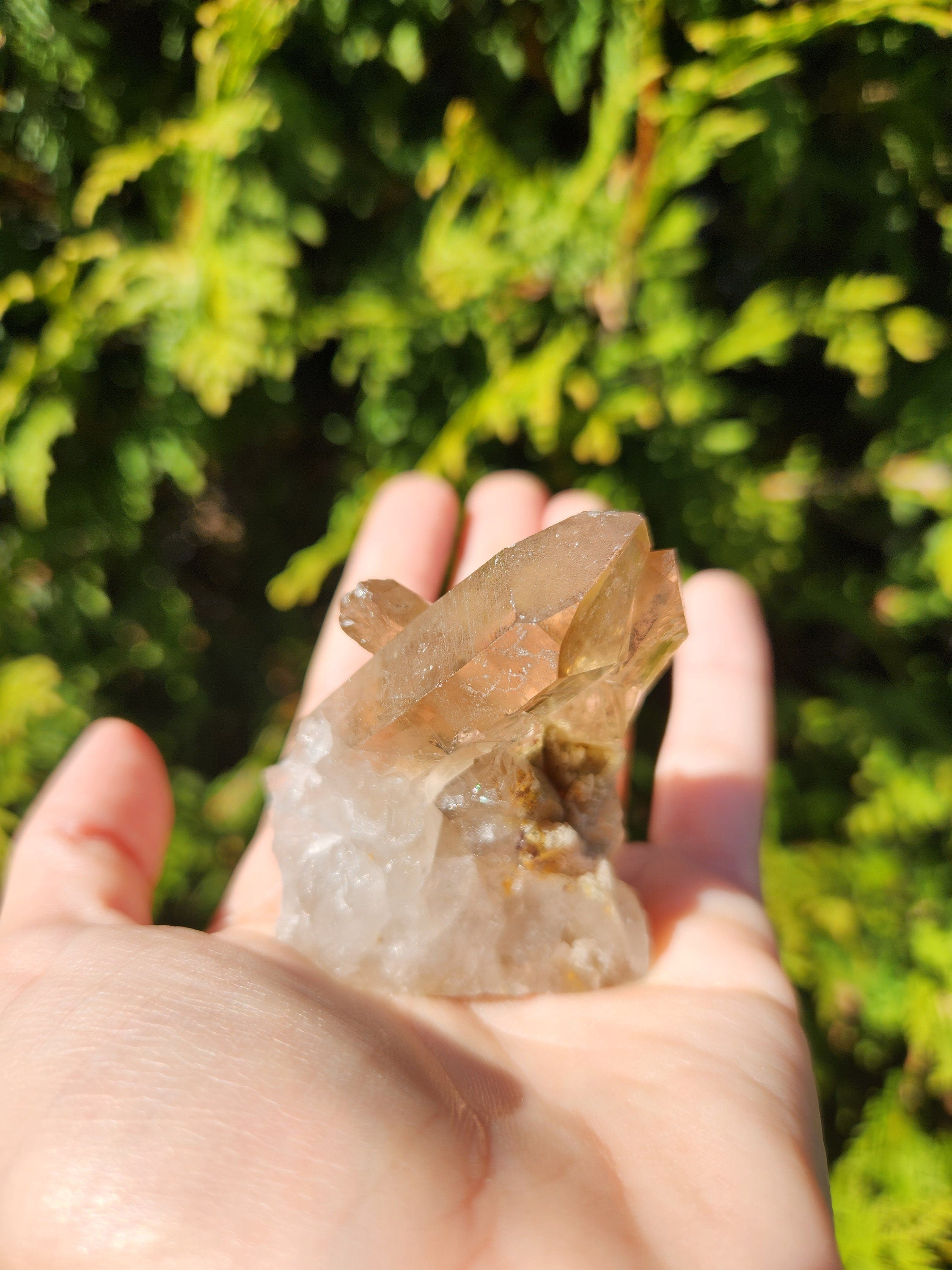 Smoky Quartz Cluster