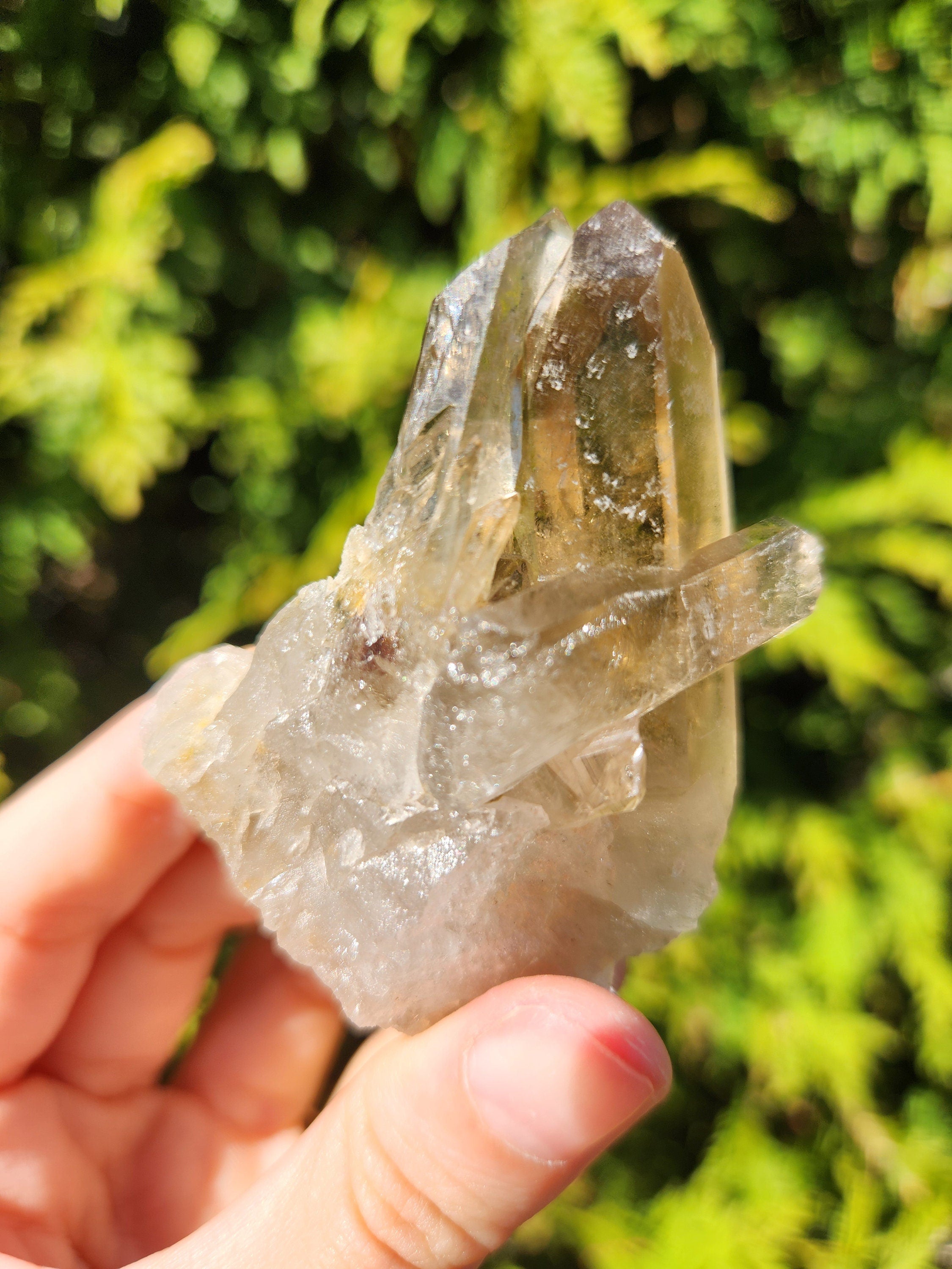 Smoky Quartz Cluster