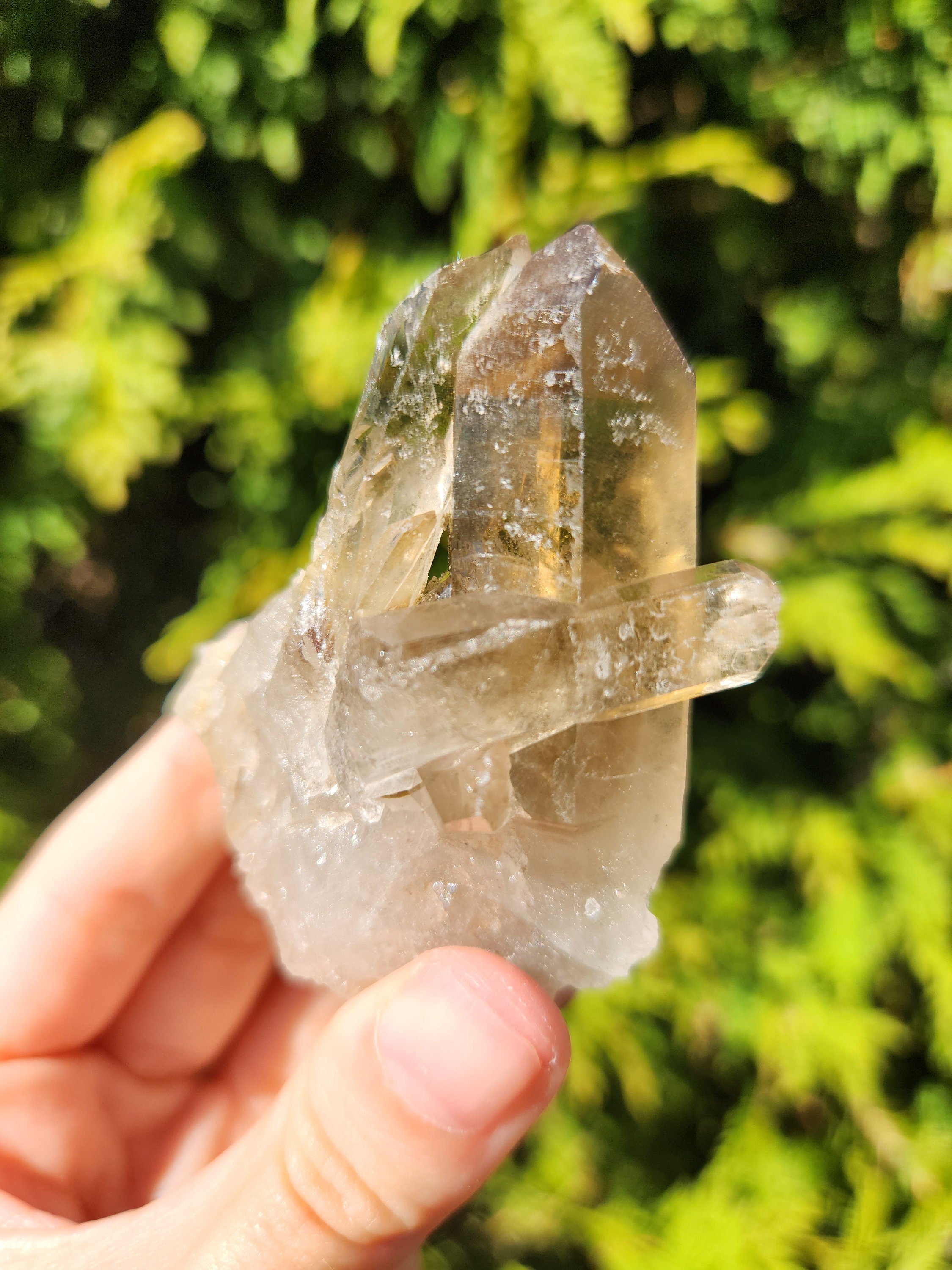 Smoky Quartz Cluster