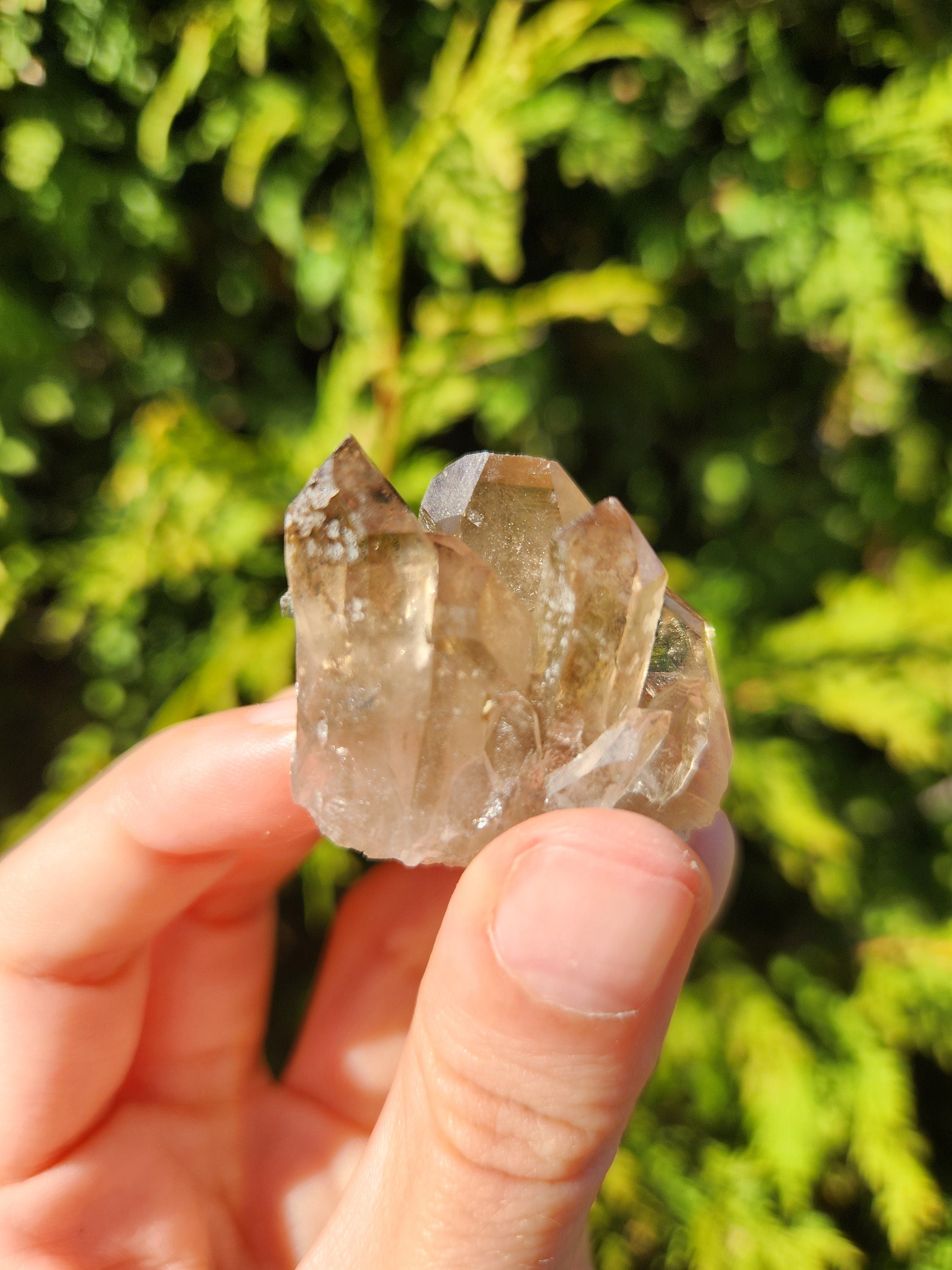 Smoky Quartz Cluster