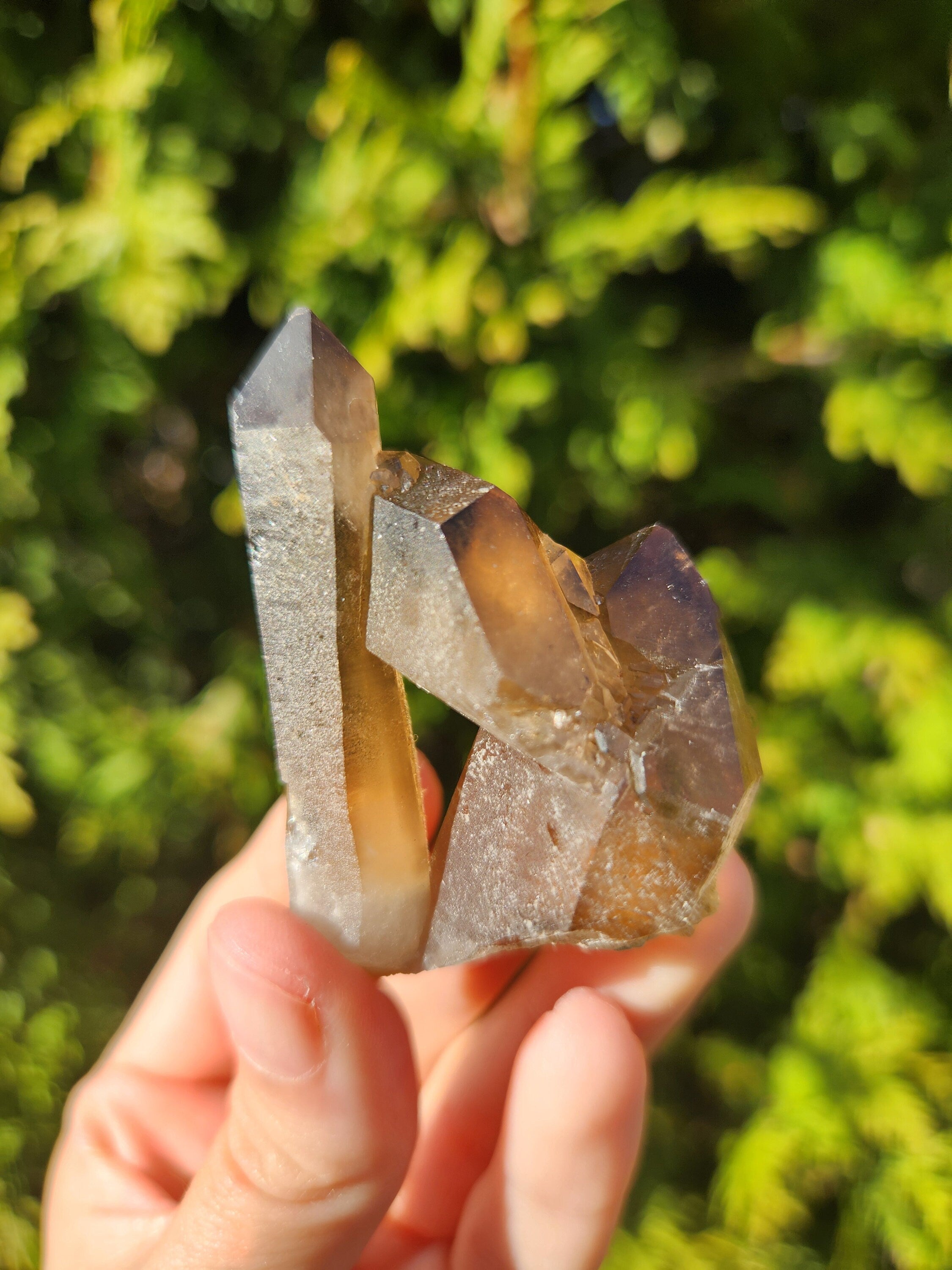 Smoky Quartz Cluster