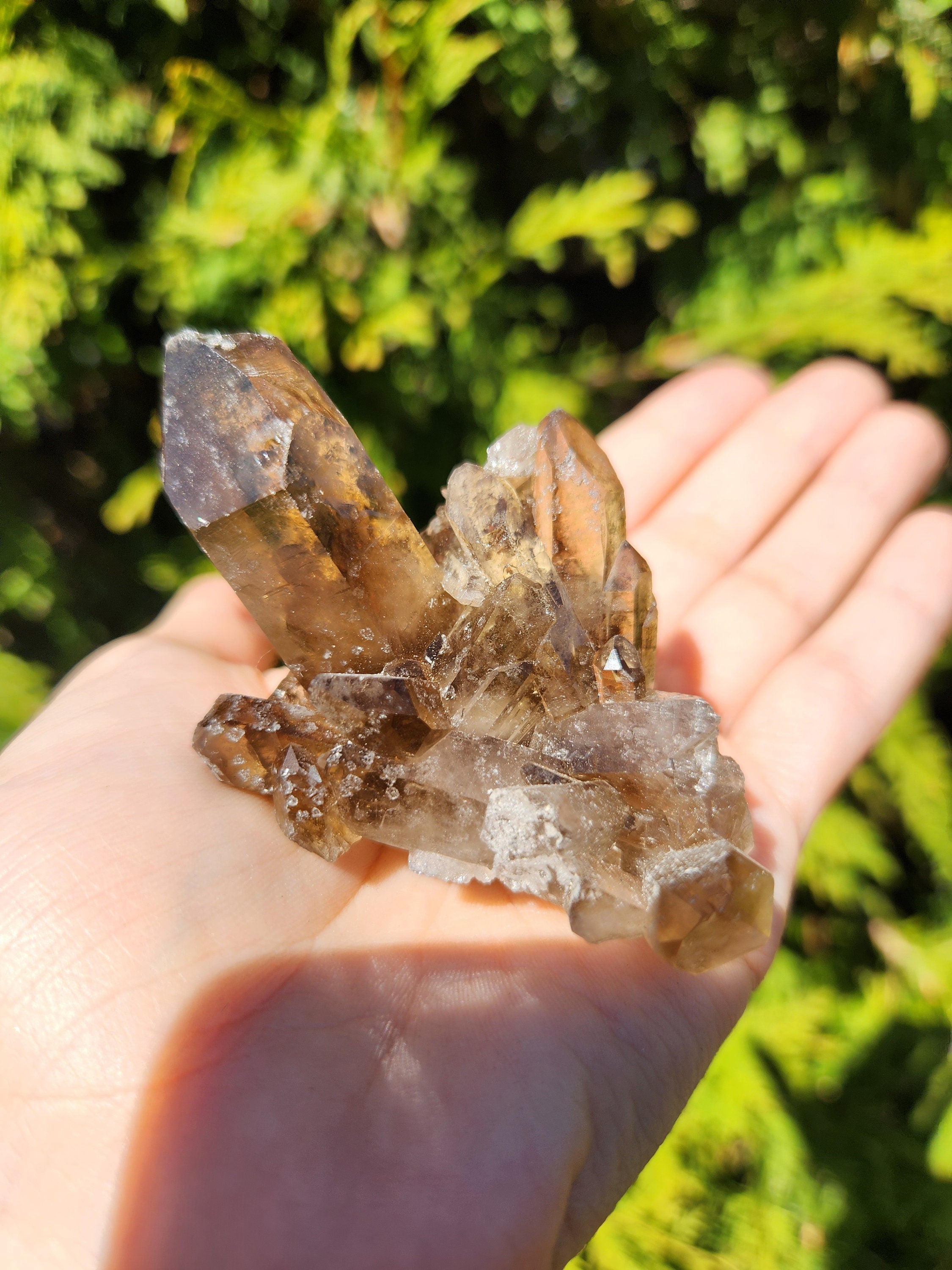 Smoky Quartz Cluster