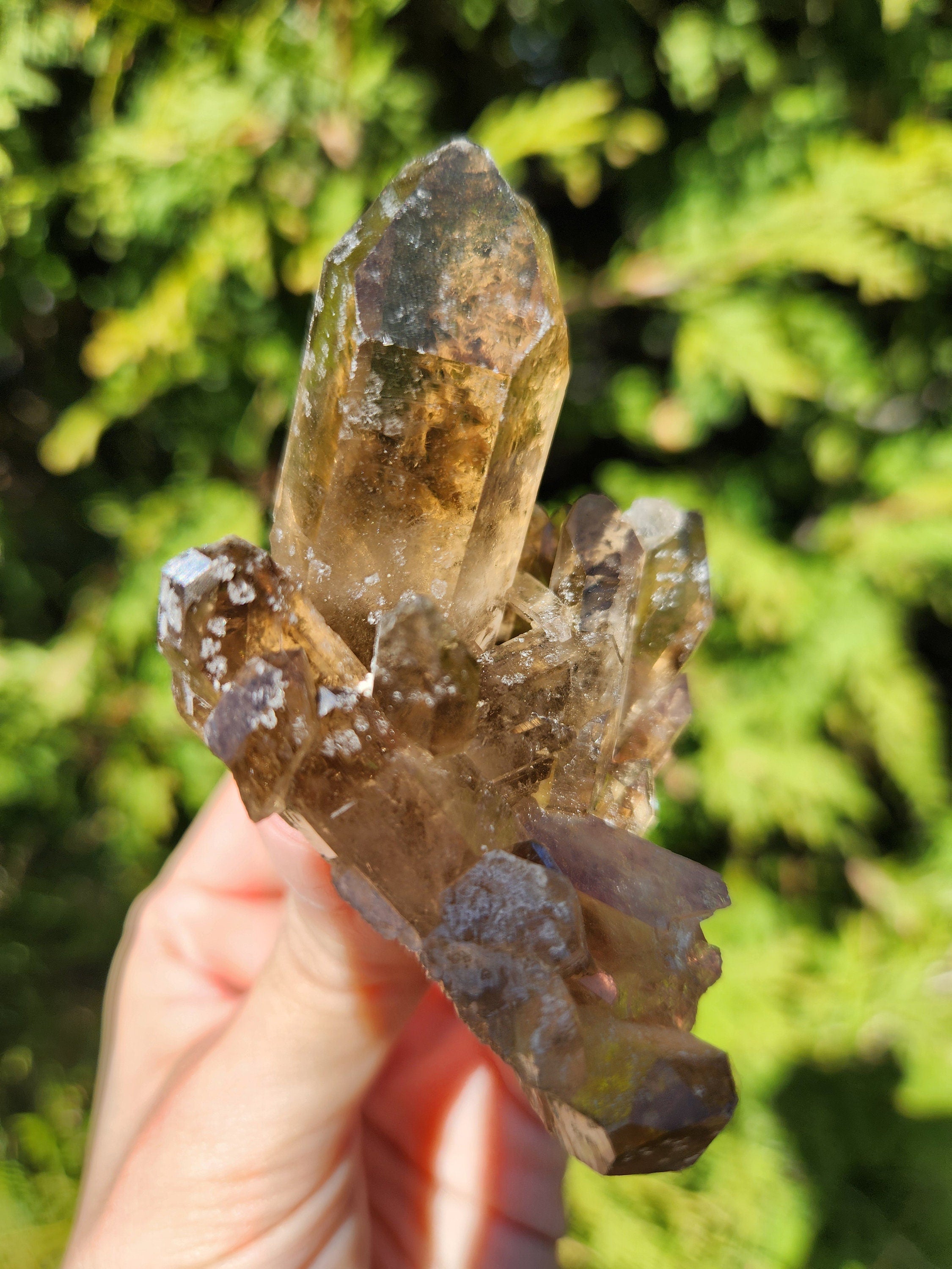 Smoky Quartz Cluster