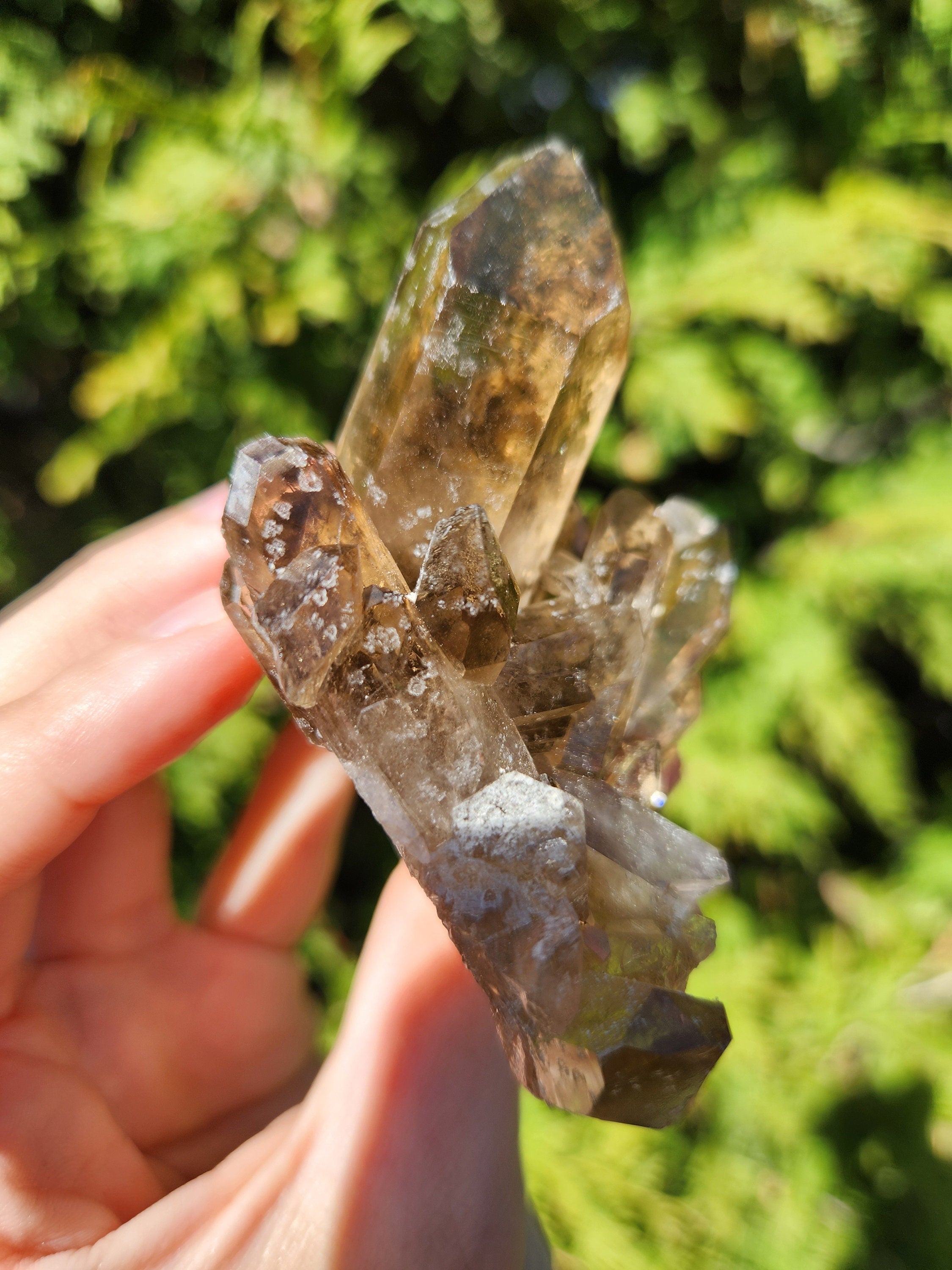 Smoky Quartz Cluster