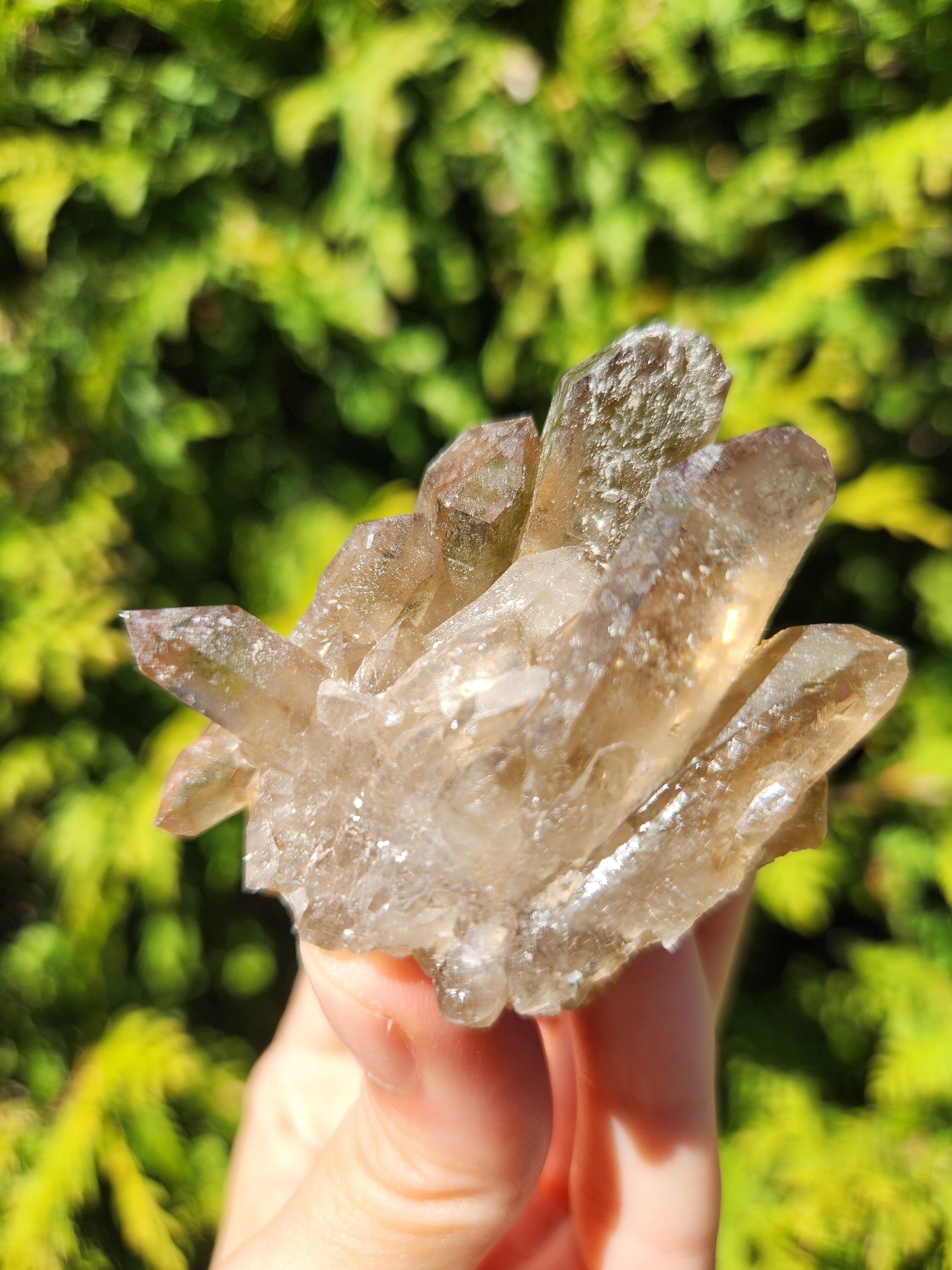 Smoky Quartz Cluster