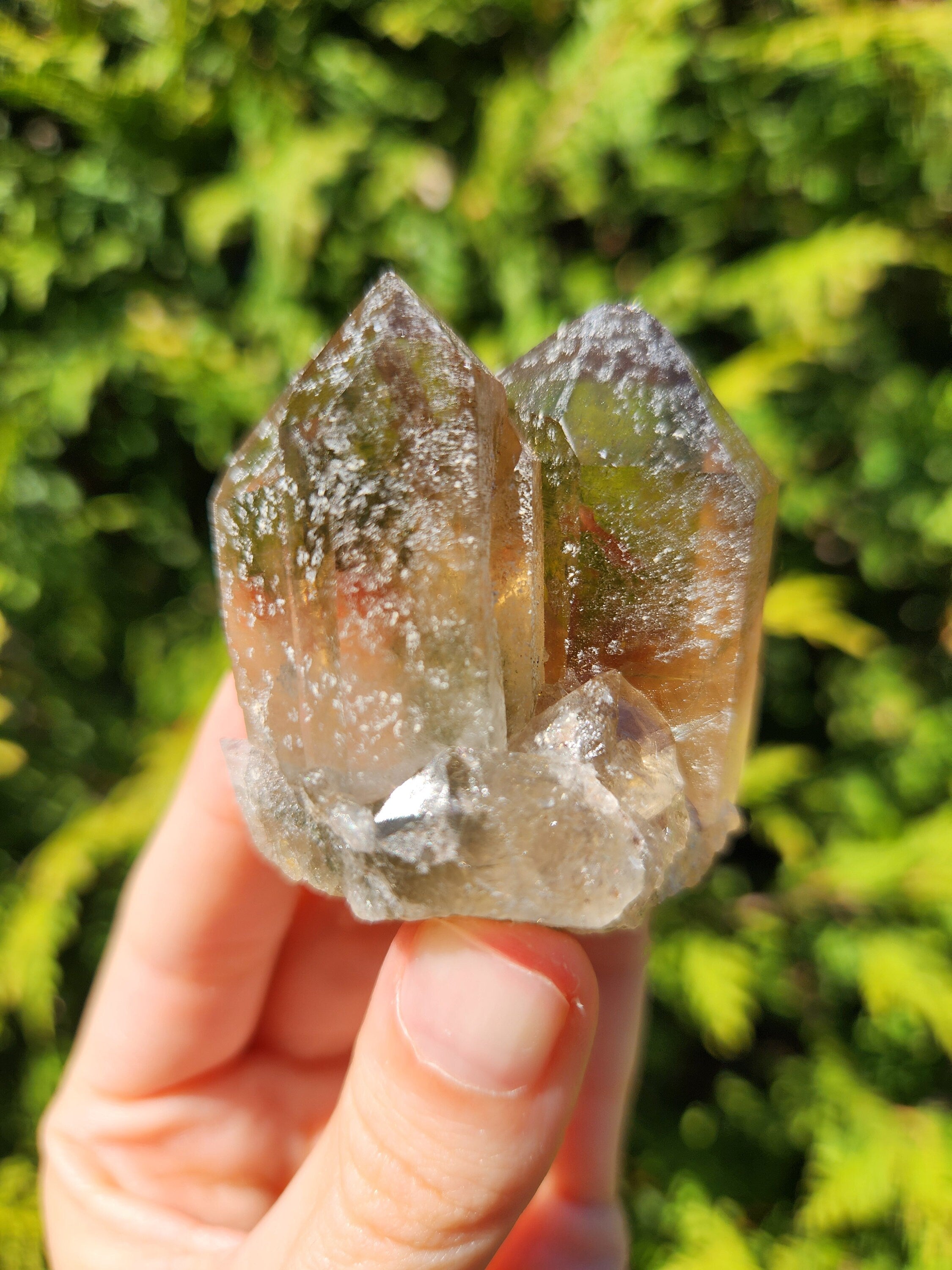 Smoky Quartz Cluster