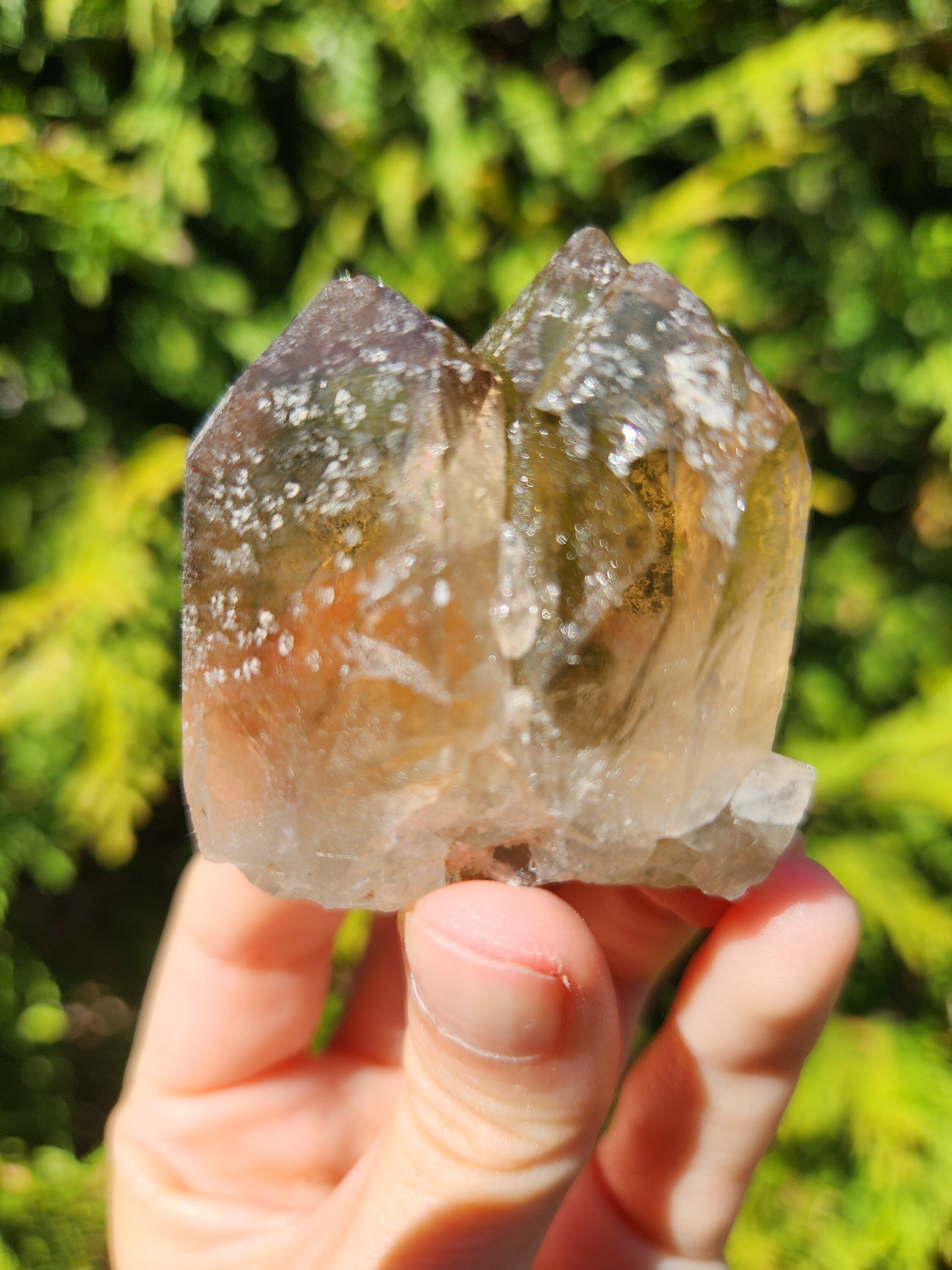 Smoky Quartz Cluster