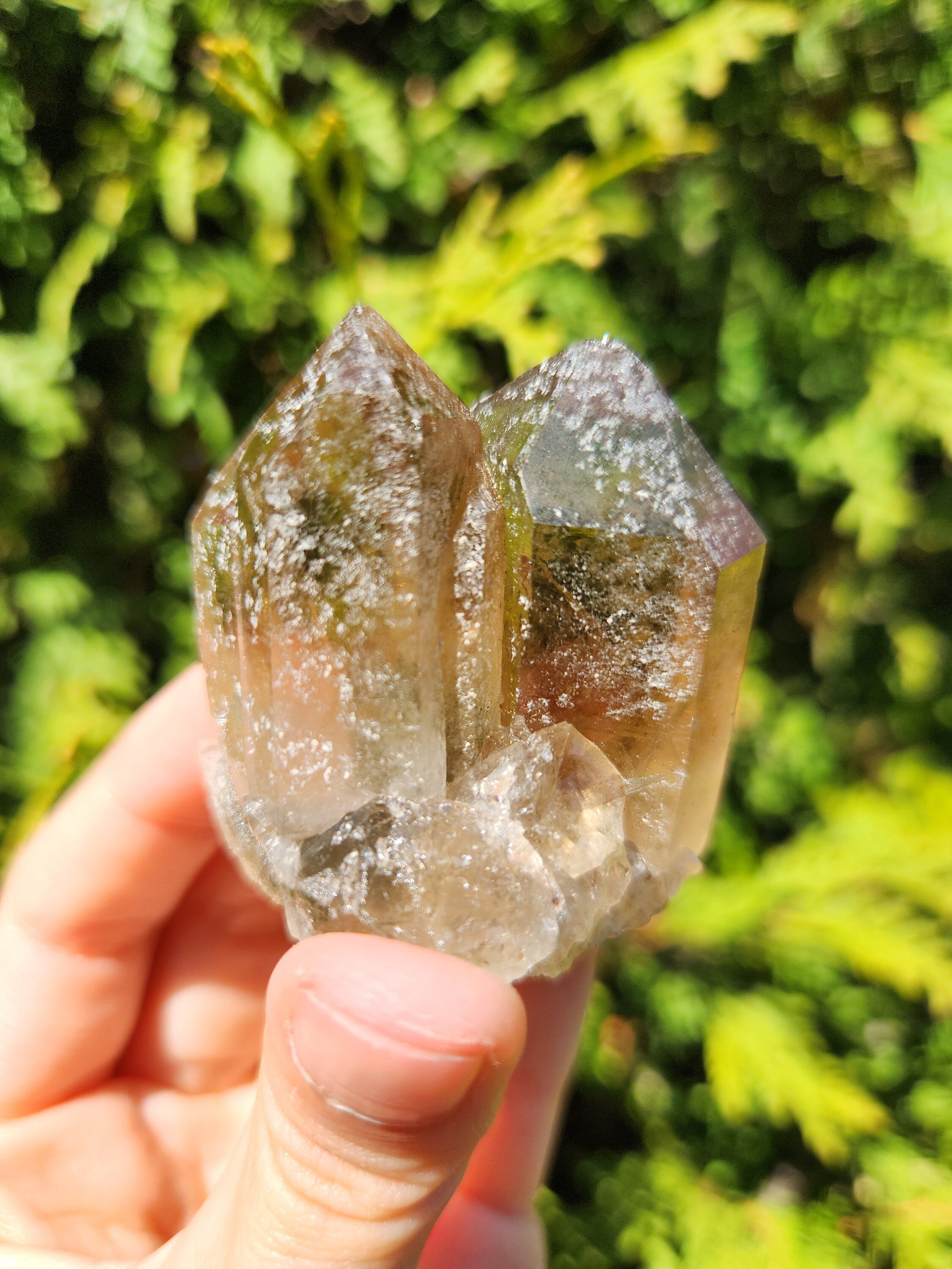 Smoky Quartz Cluster