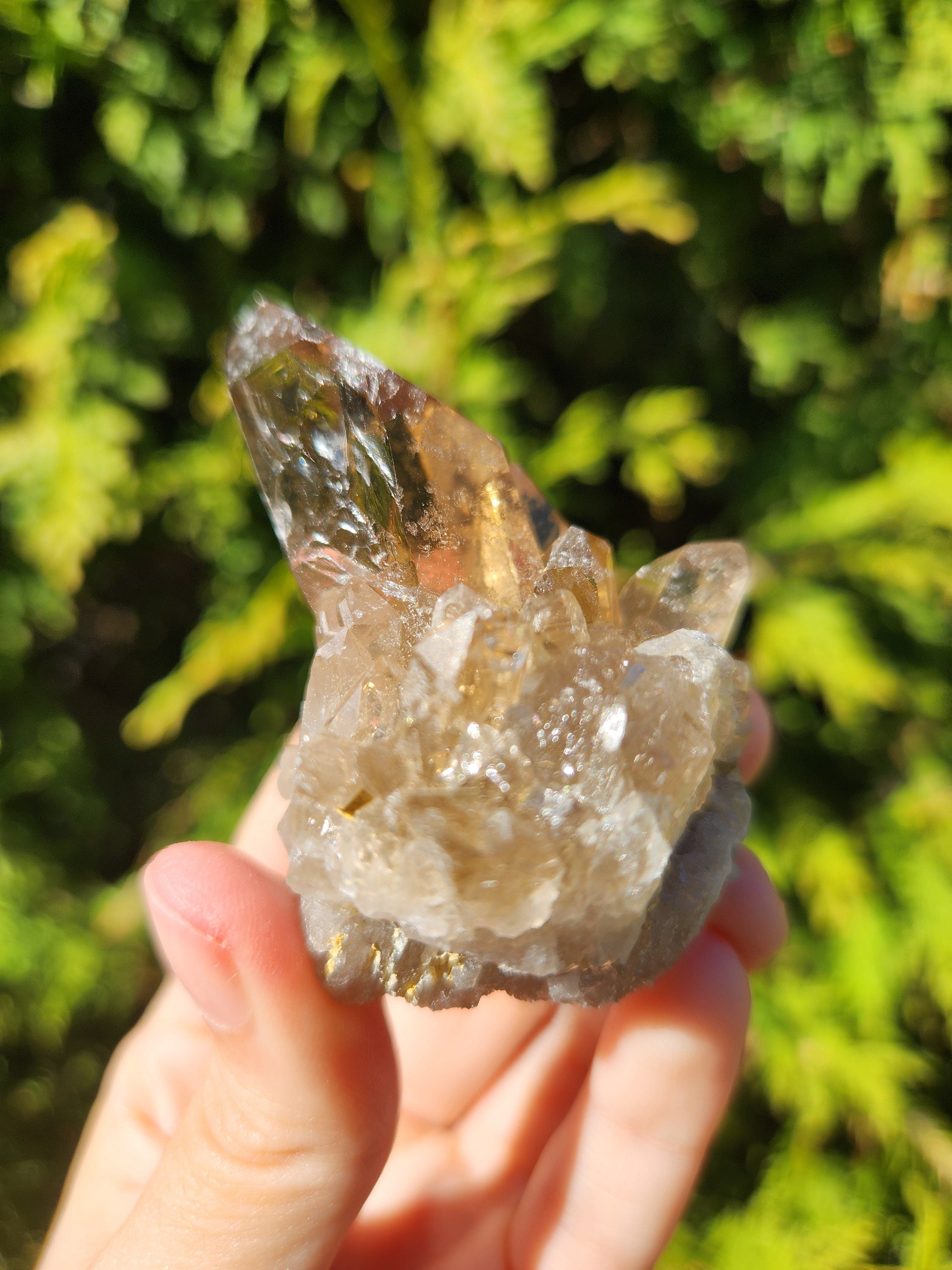 Smoky Quartz Cluster