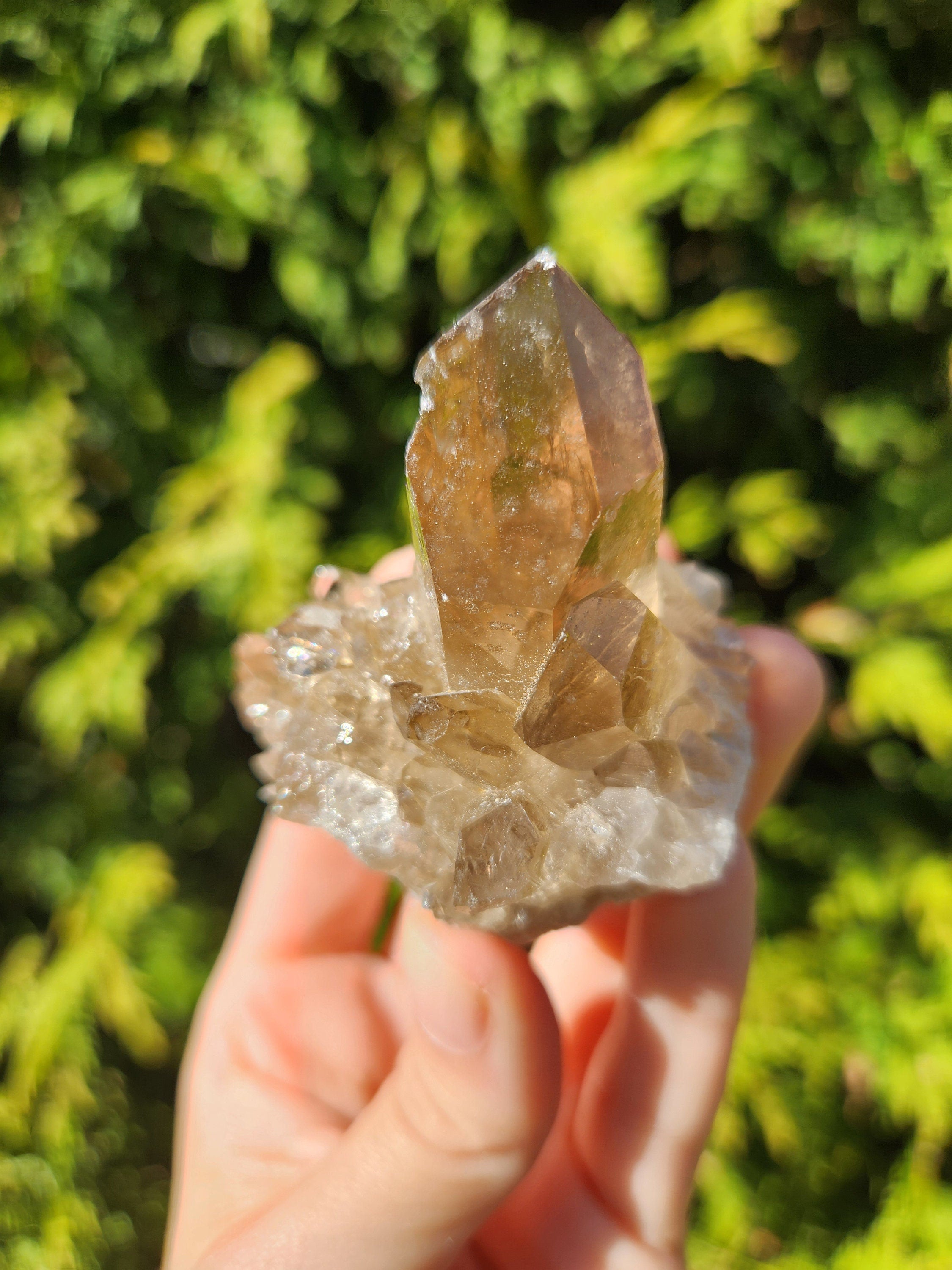 Smoky Quartz Cluster