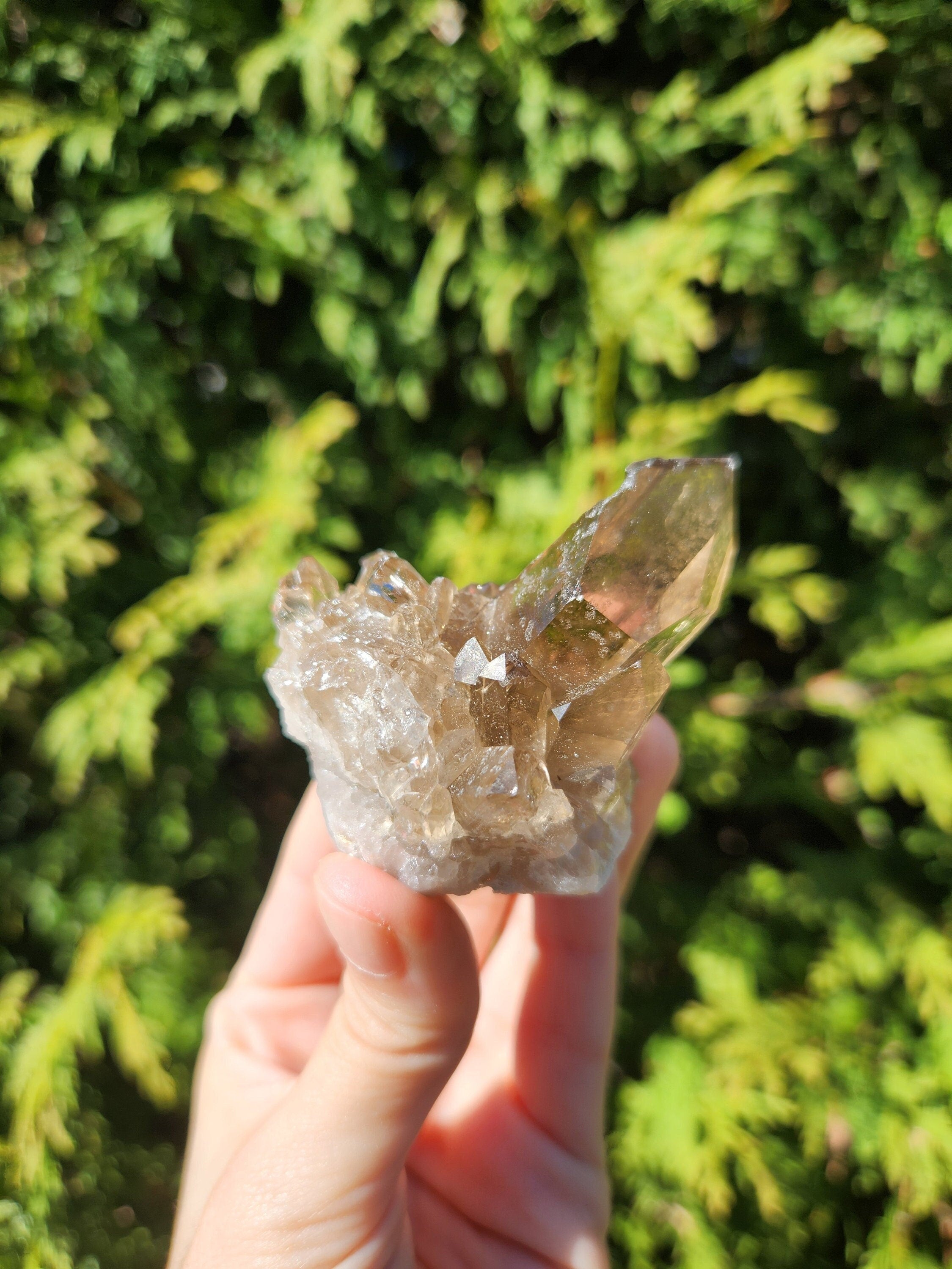 Smoky Quartz Cluster