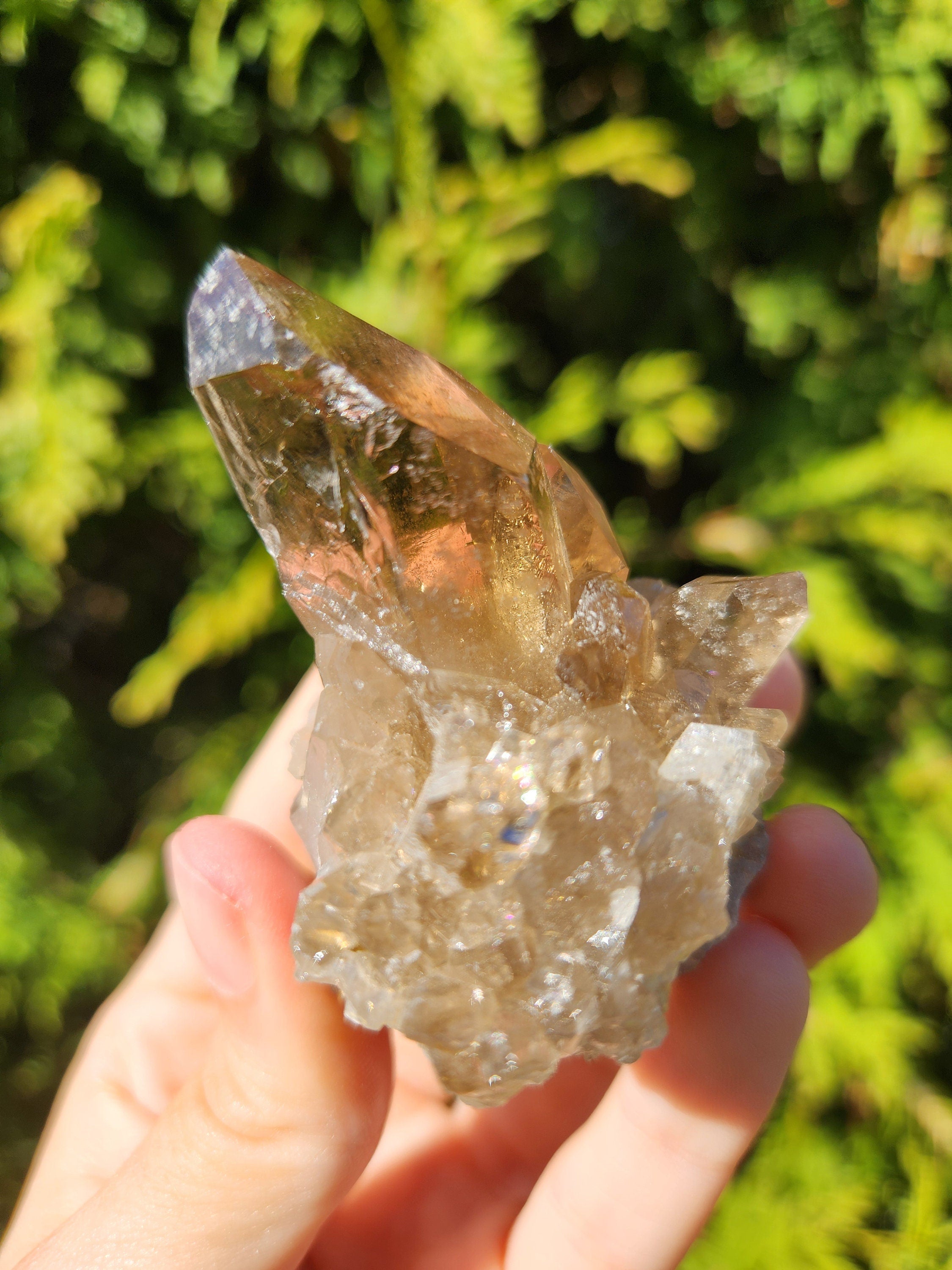 Smoky Quartz Cluster