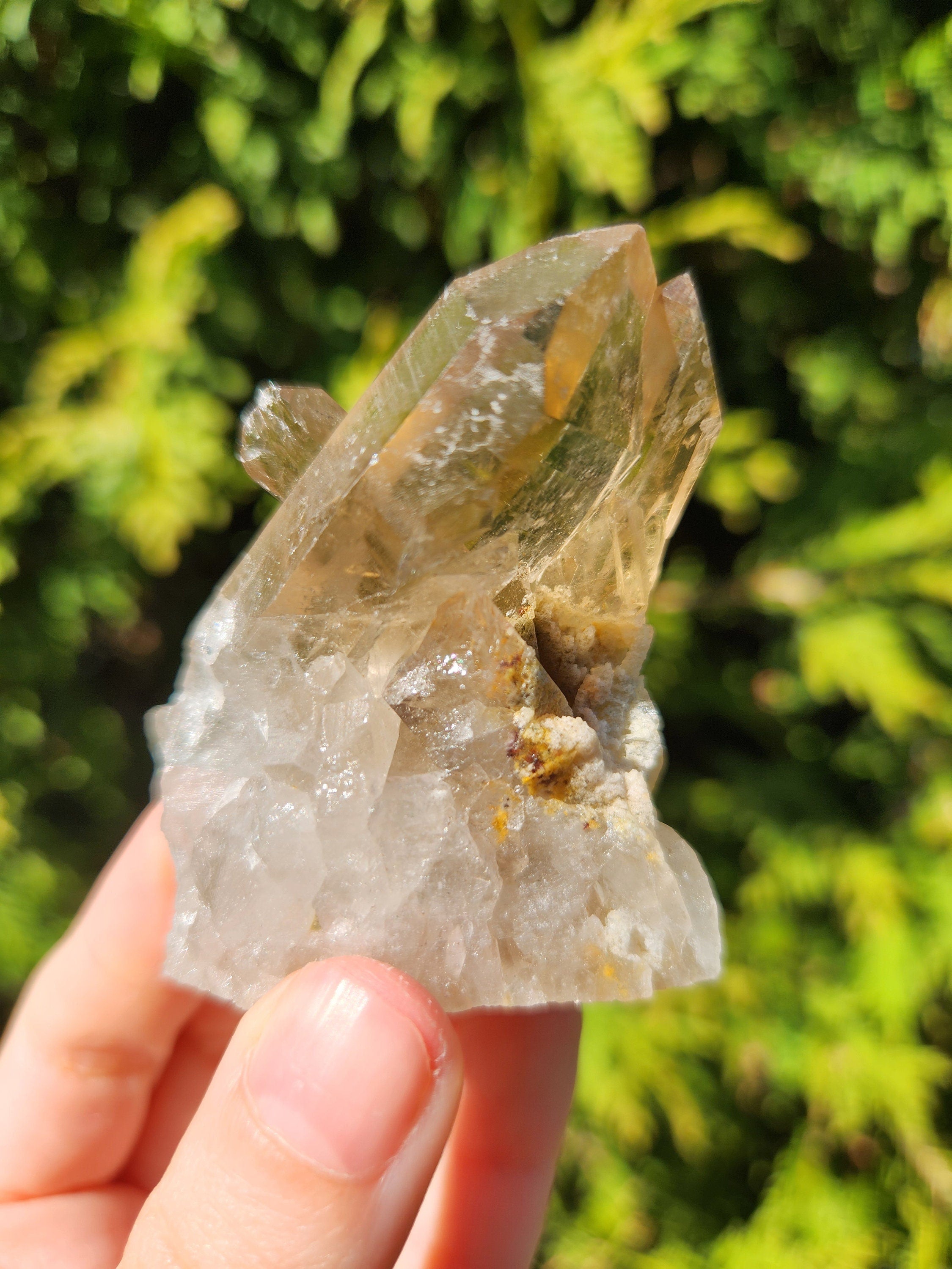 Smoky Quartz Cluster