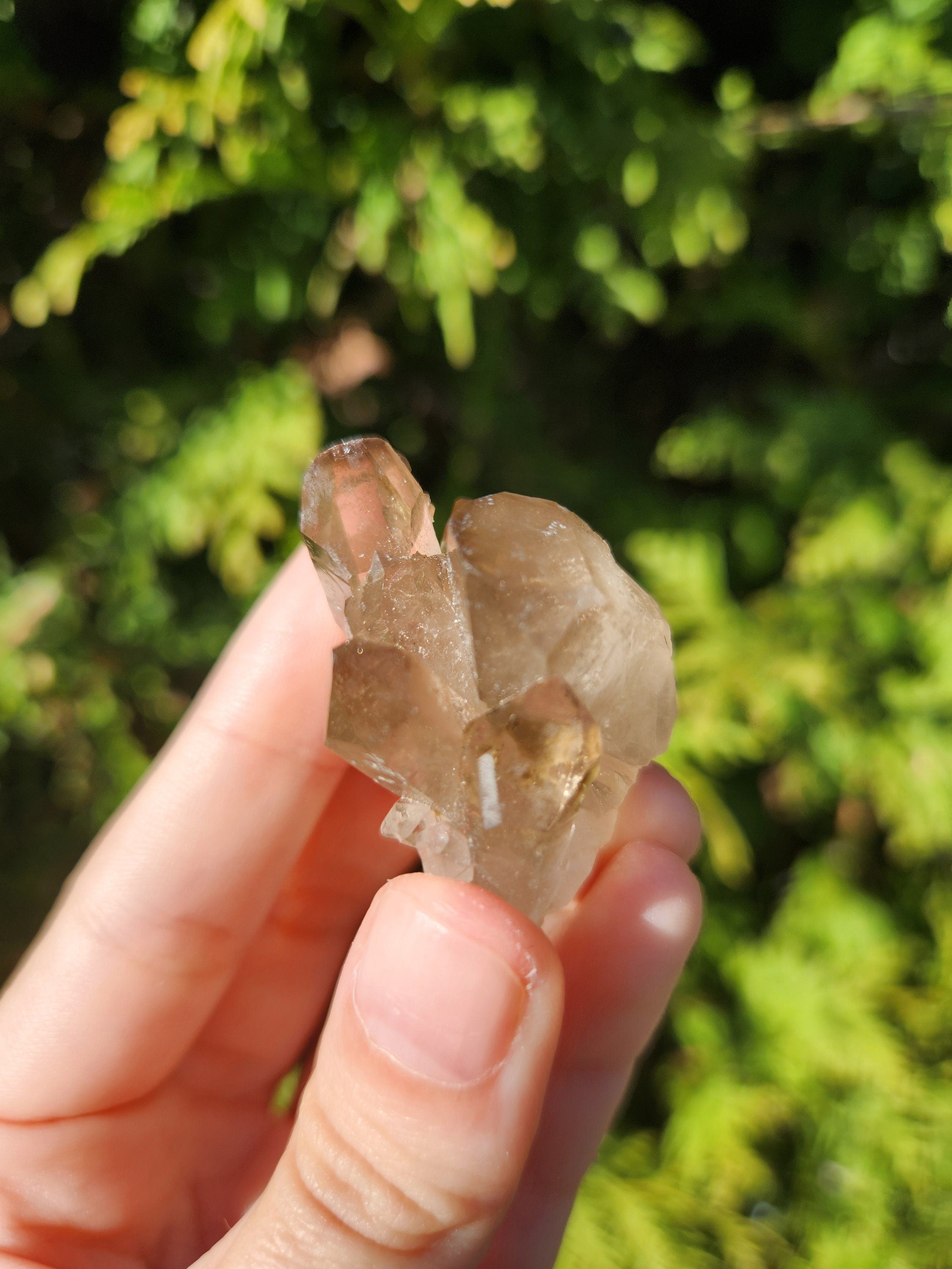 Smoky Quartz Cluster