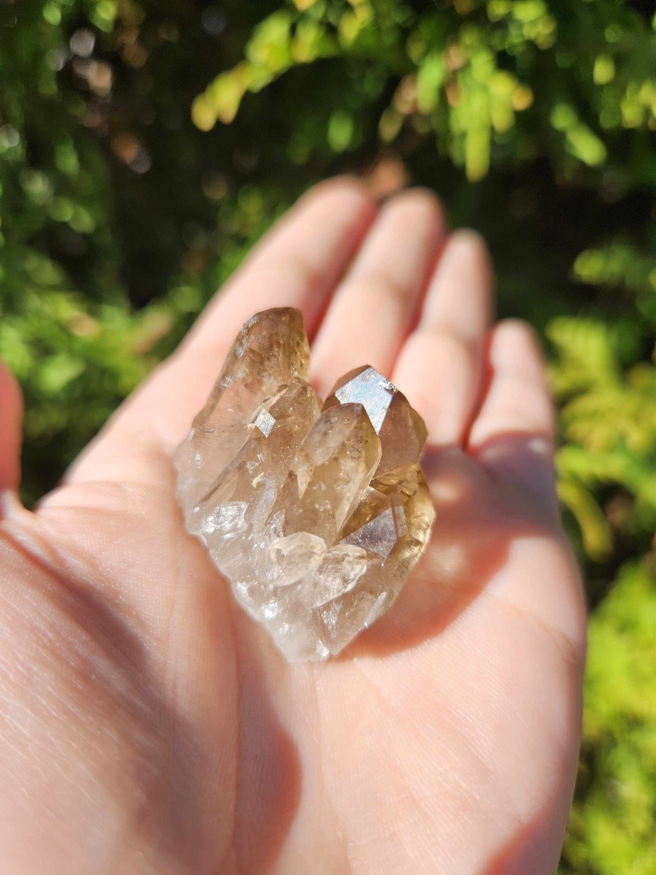 Smoky Quartz Cluster