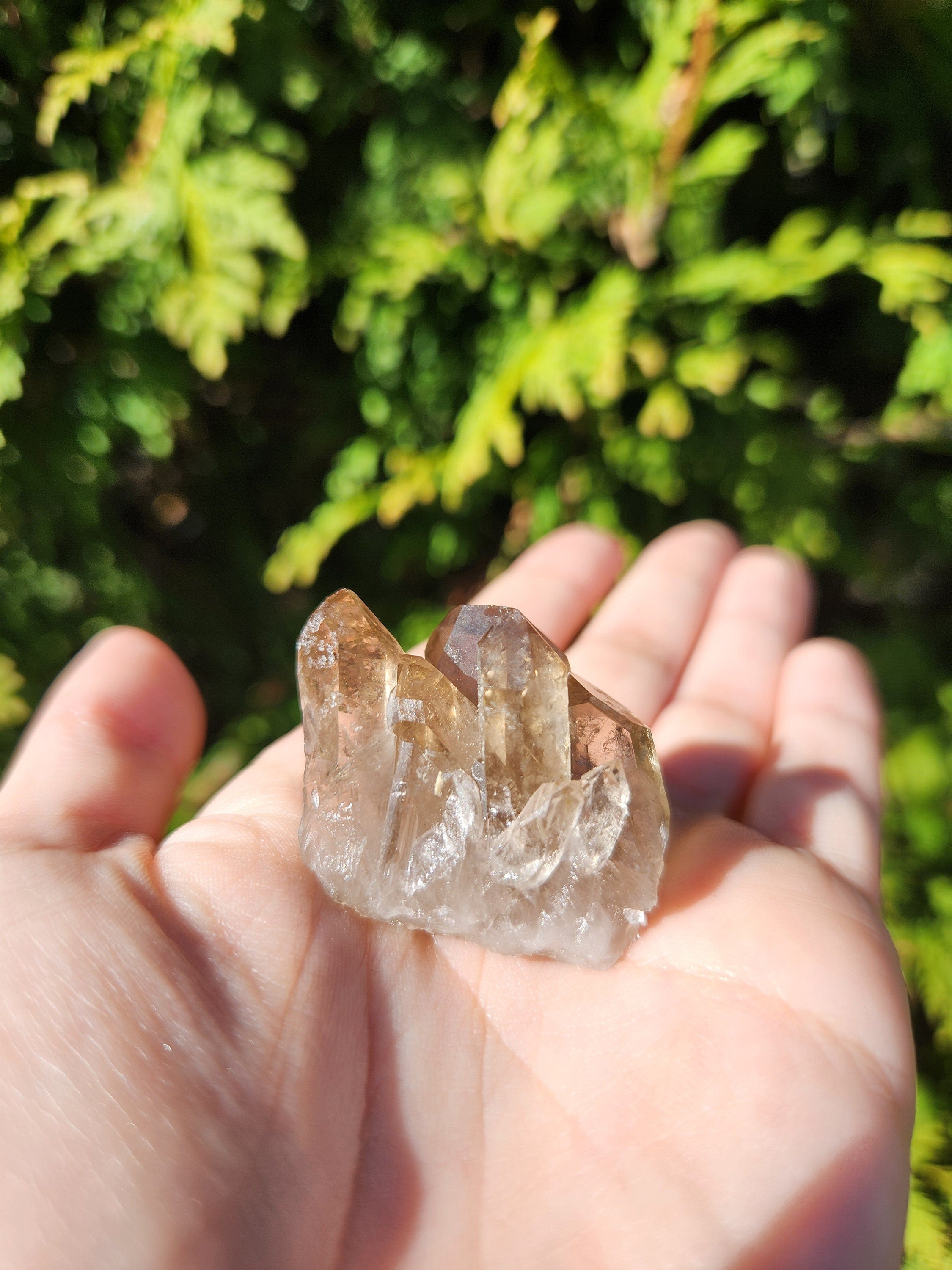 Smoky Quartz Cluster