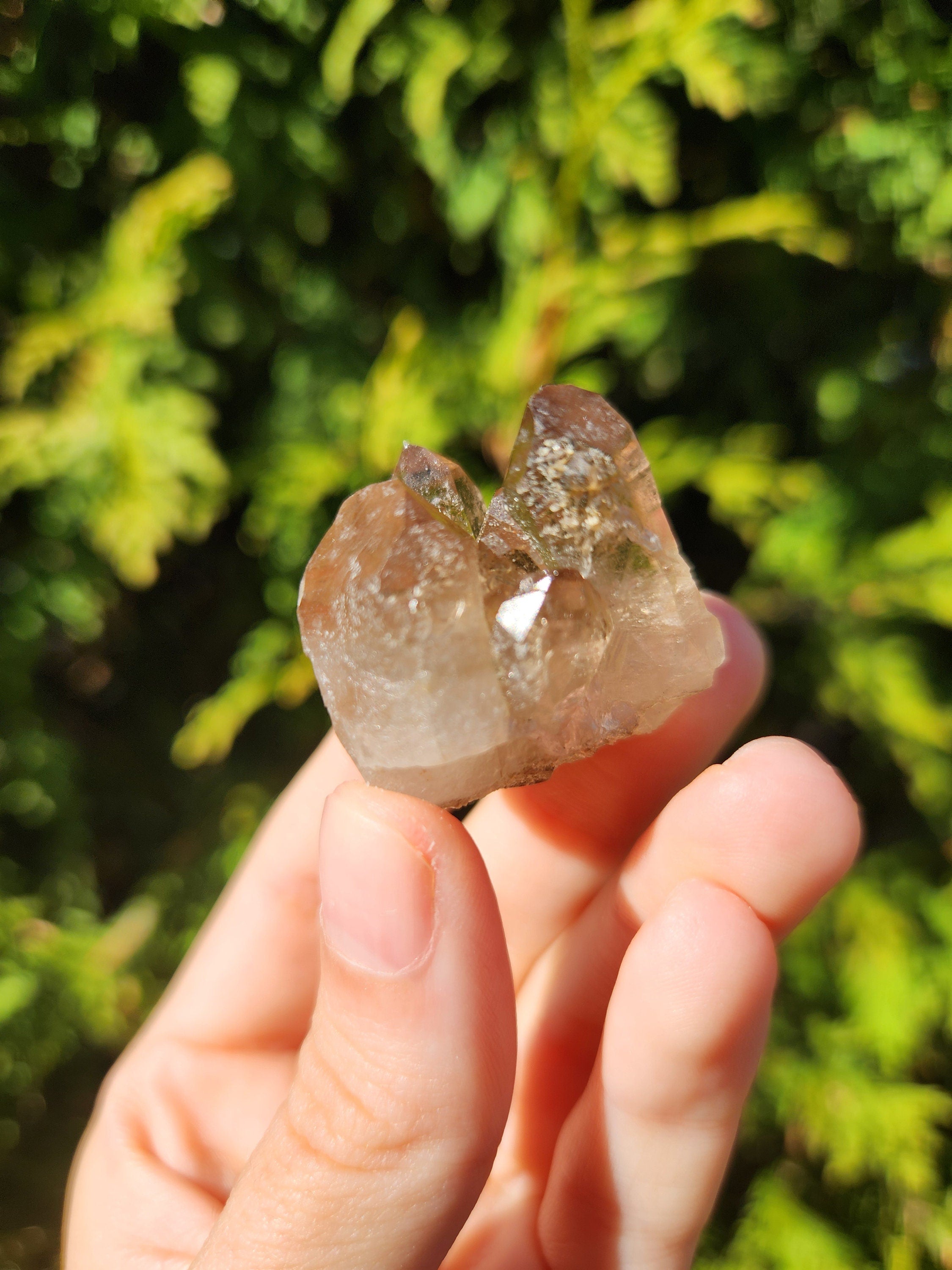 Smoky Quartz Cluster