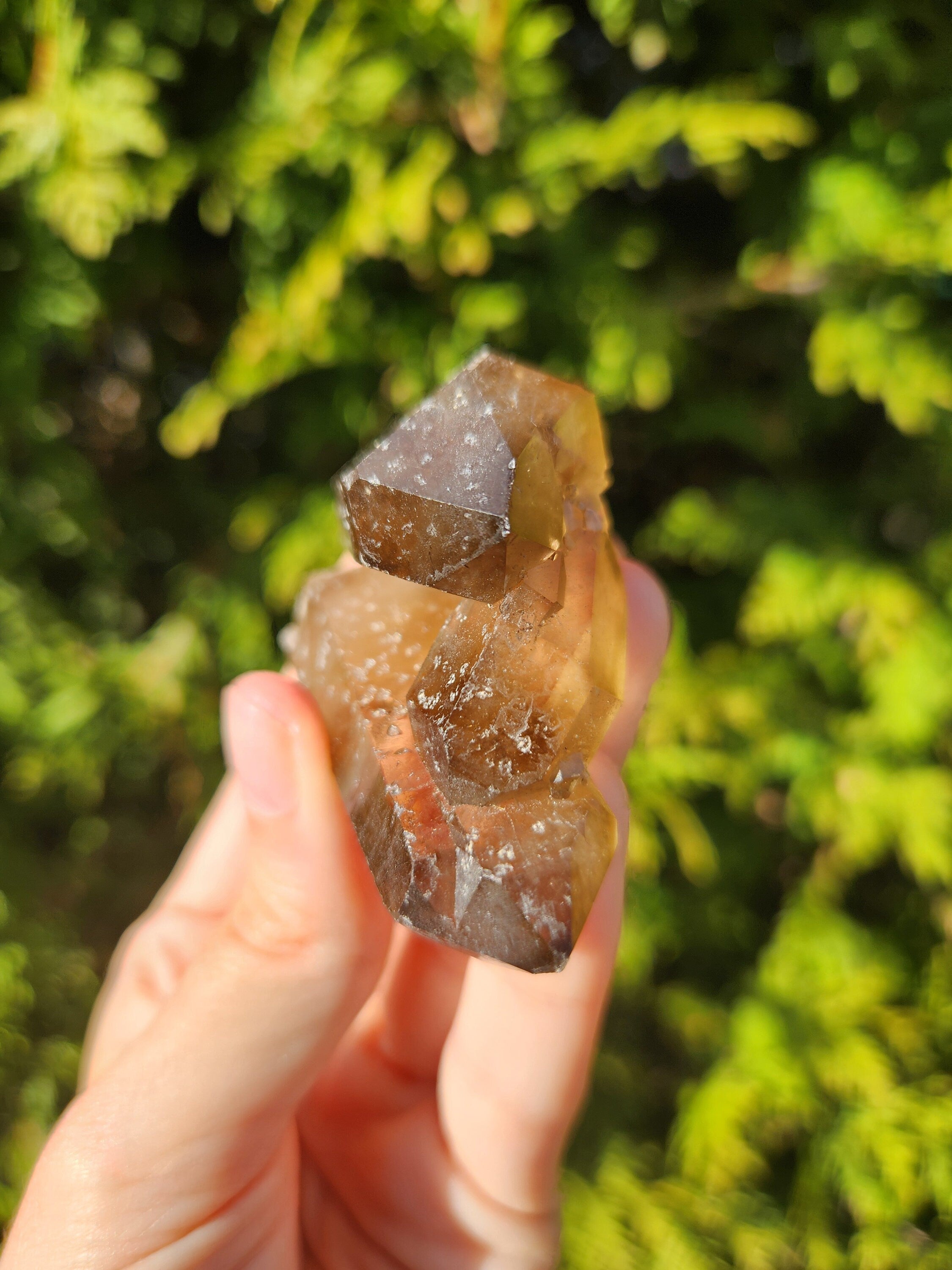 Smoky Quartz Cluster