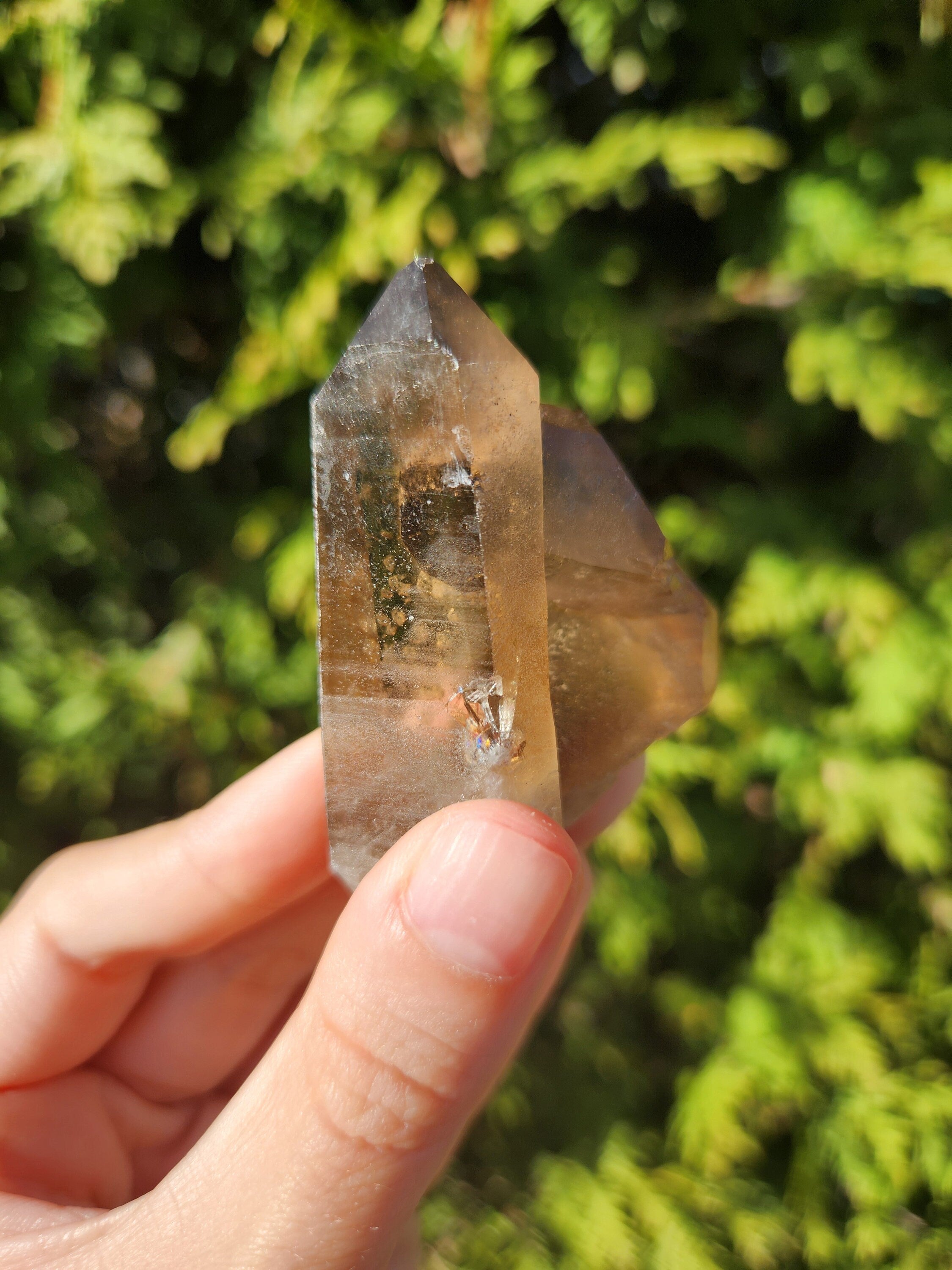 Smoky Quartz Cluster