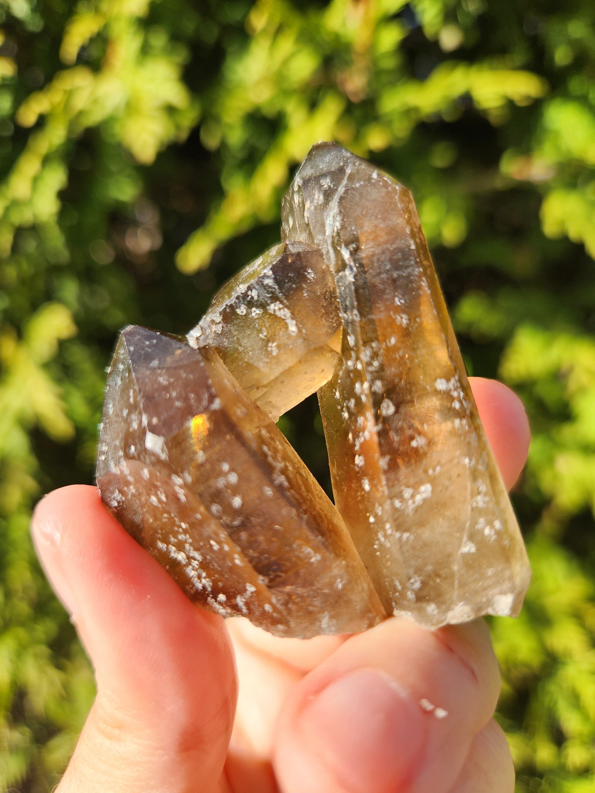 Smoky Quartz Cluster