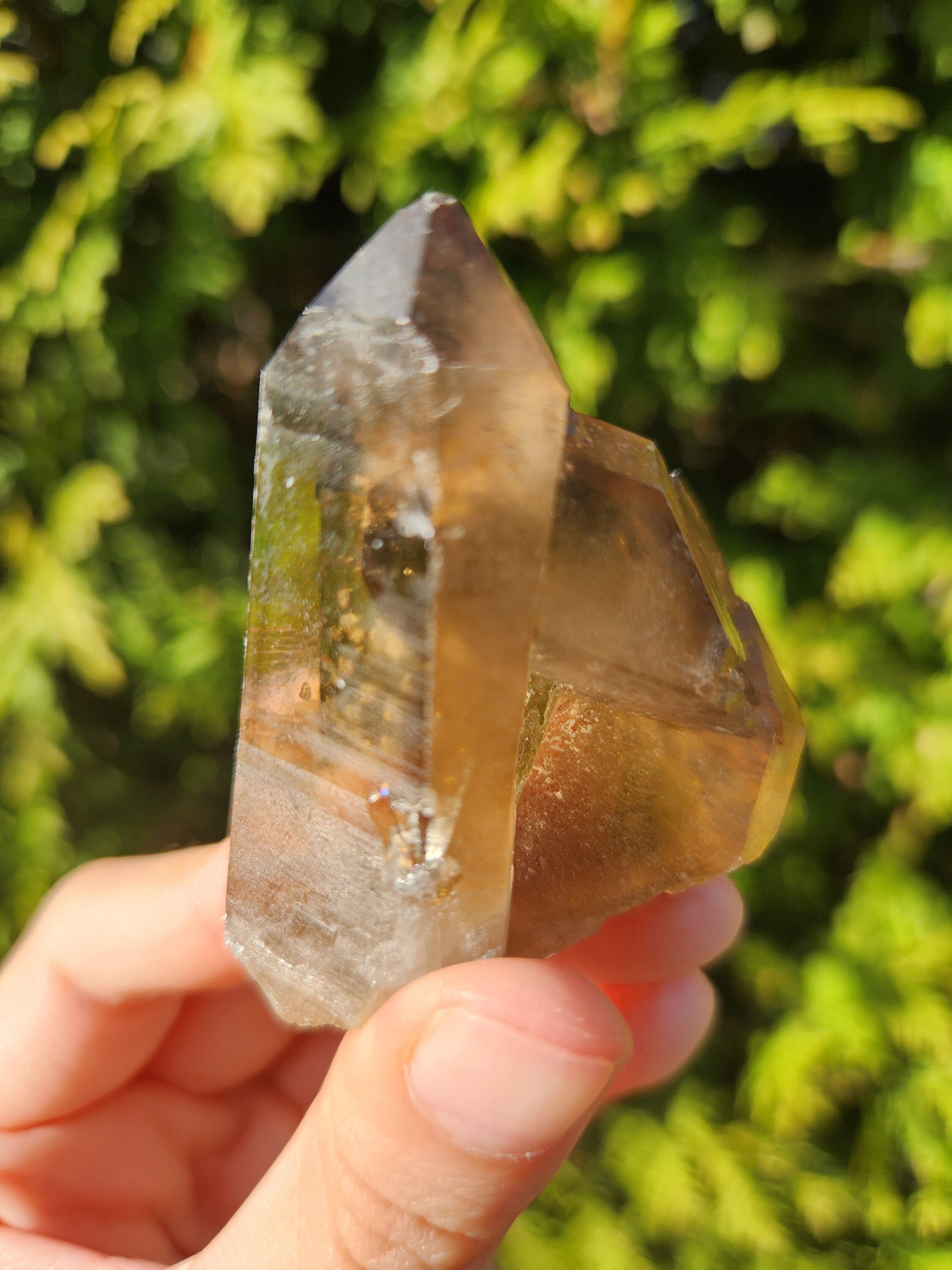 Smoky Quartz Cluster