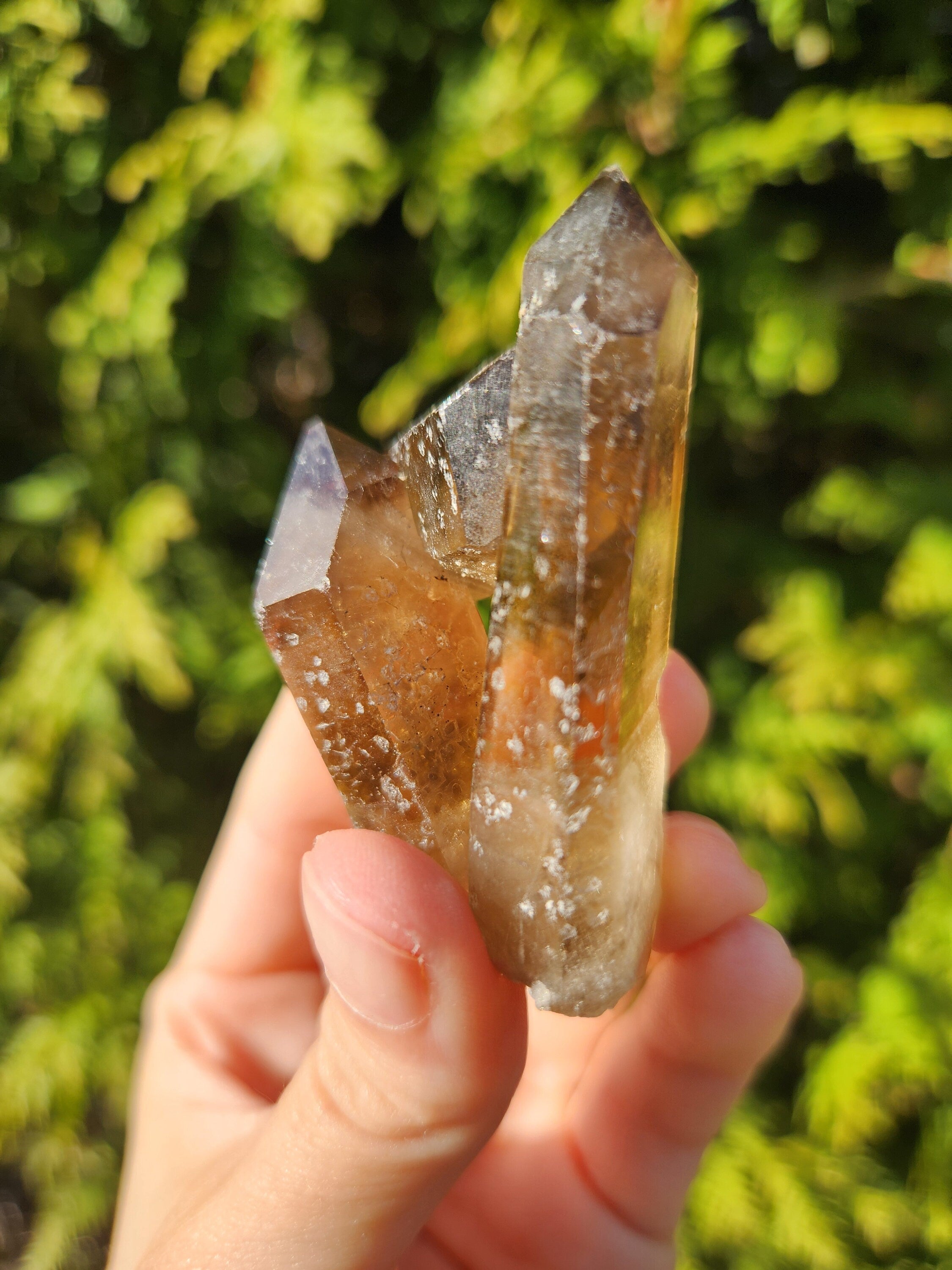 Smoky Quartz Cluster