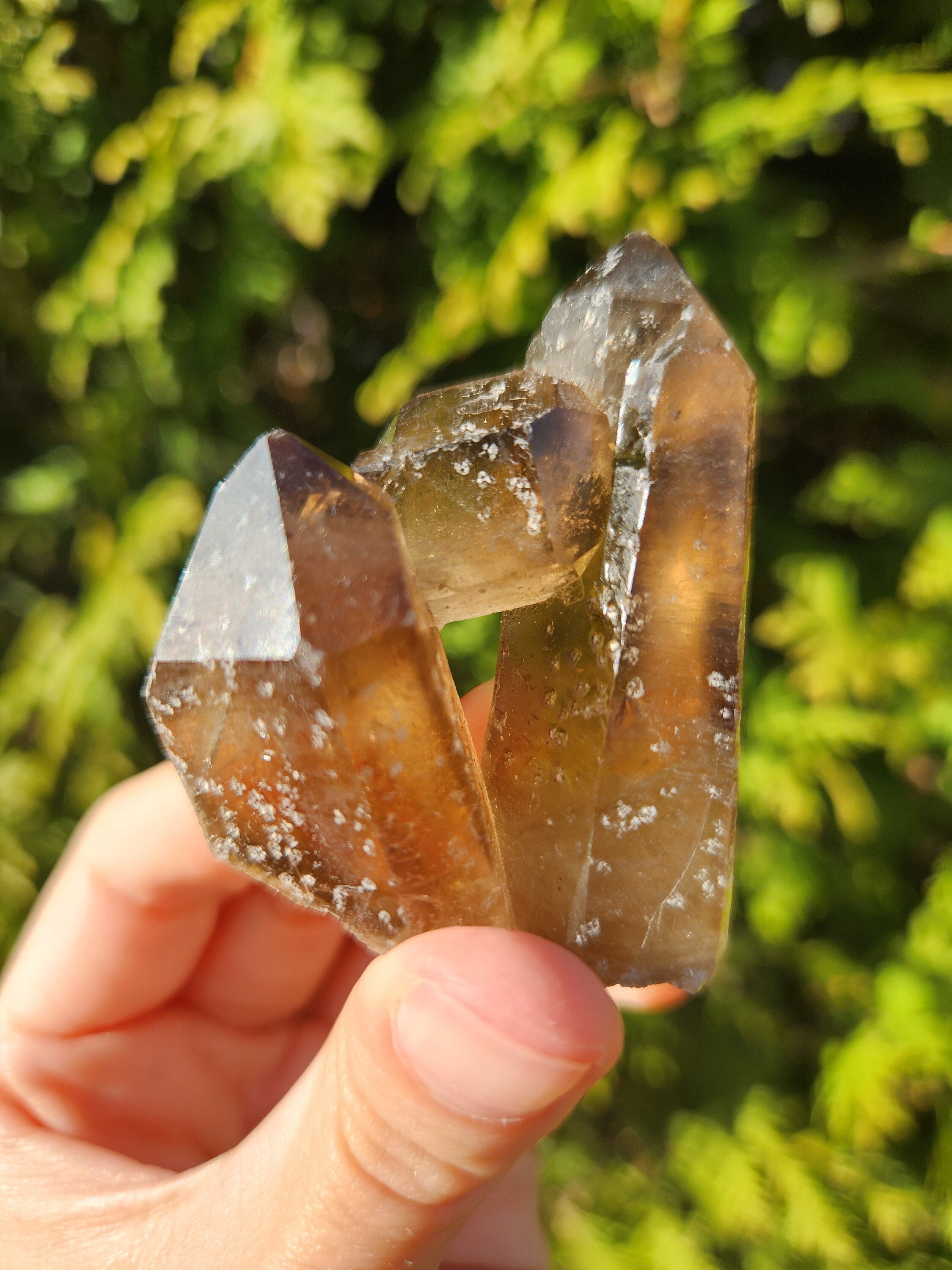 Smoky Quartz Cluster