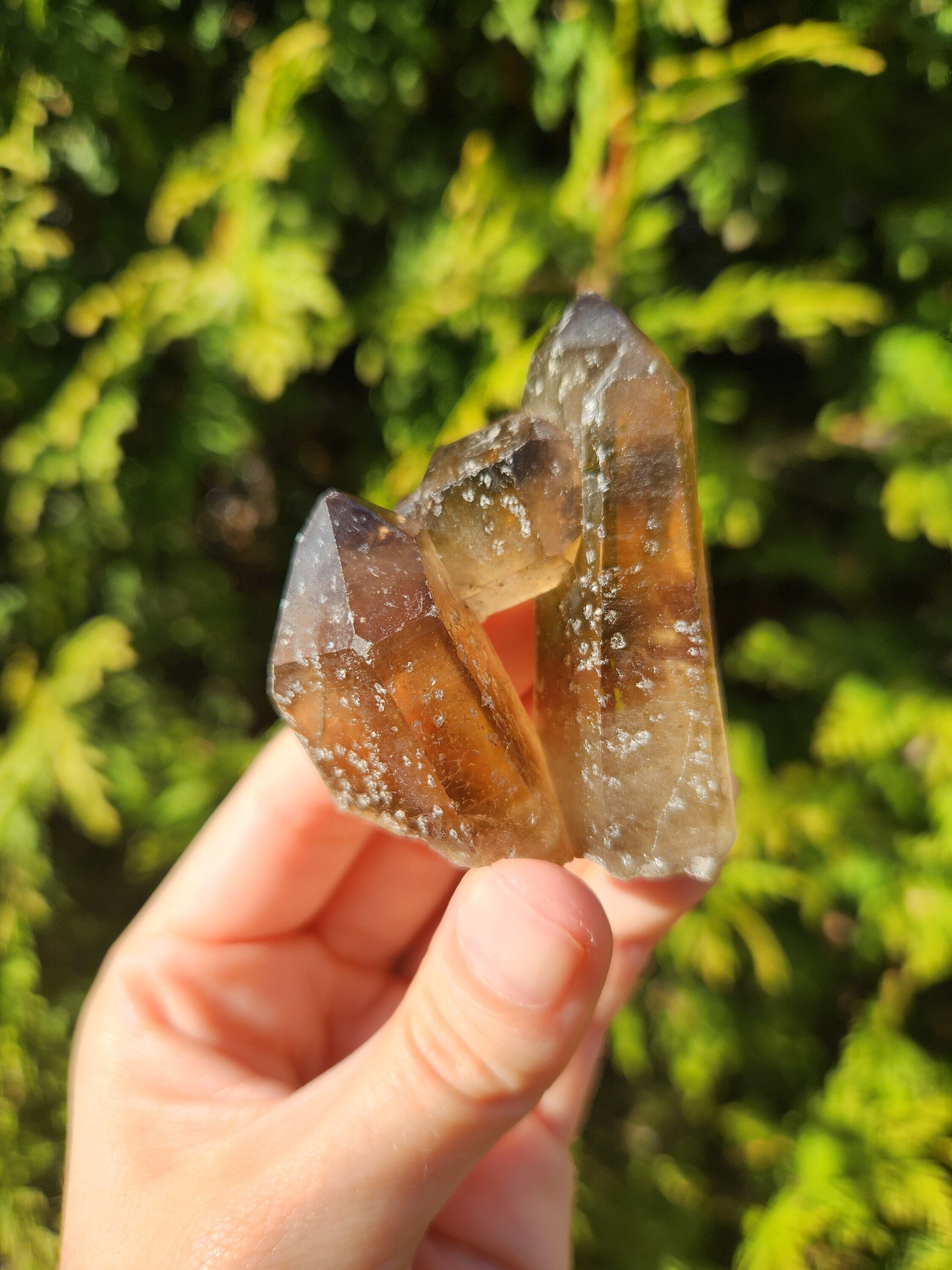 Smoky Quartz Cluster