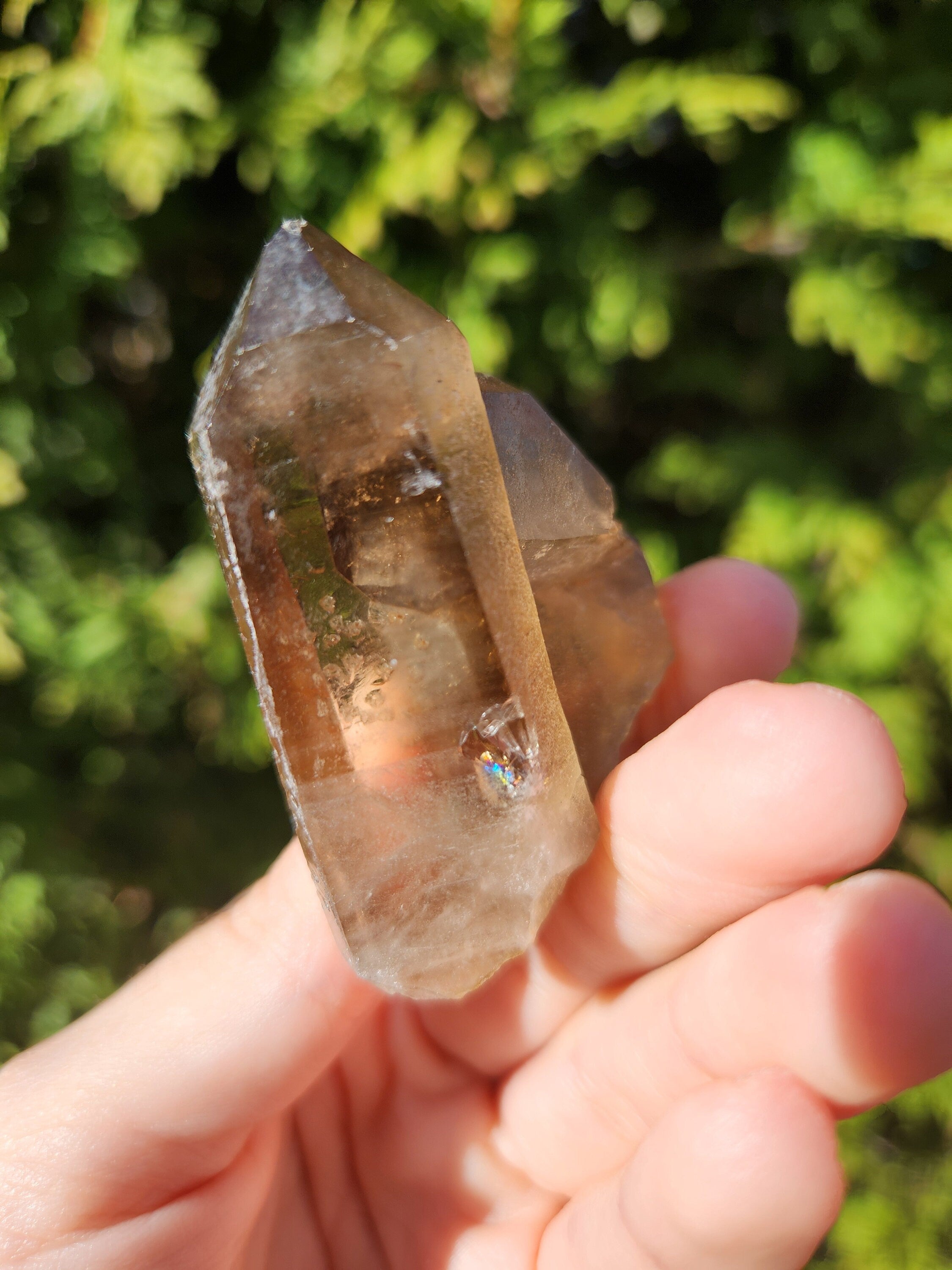 Smoky Quartz Cluster