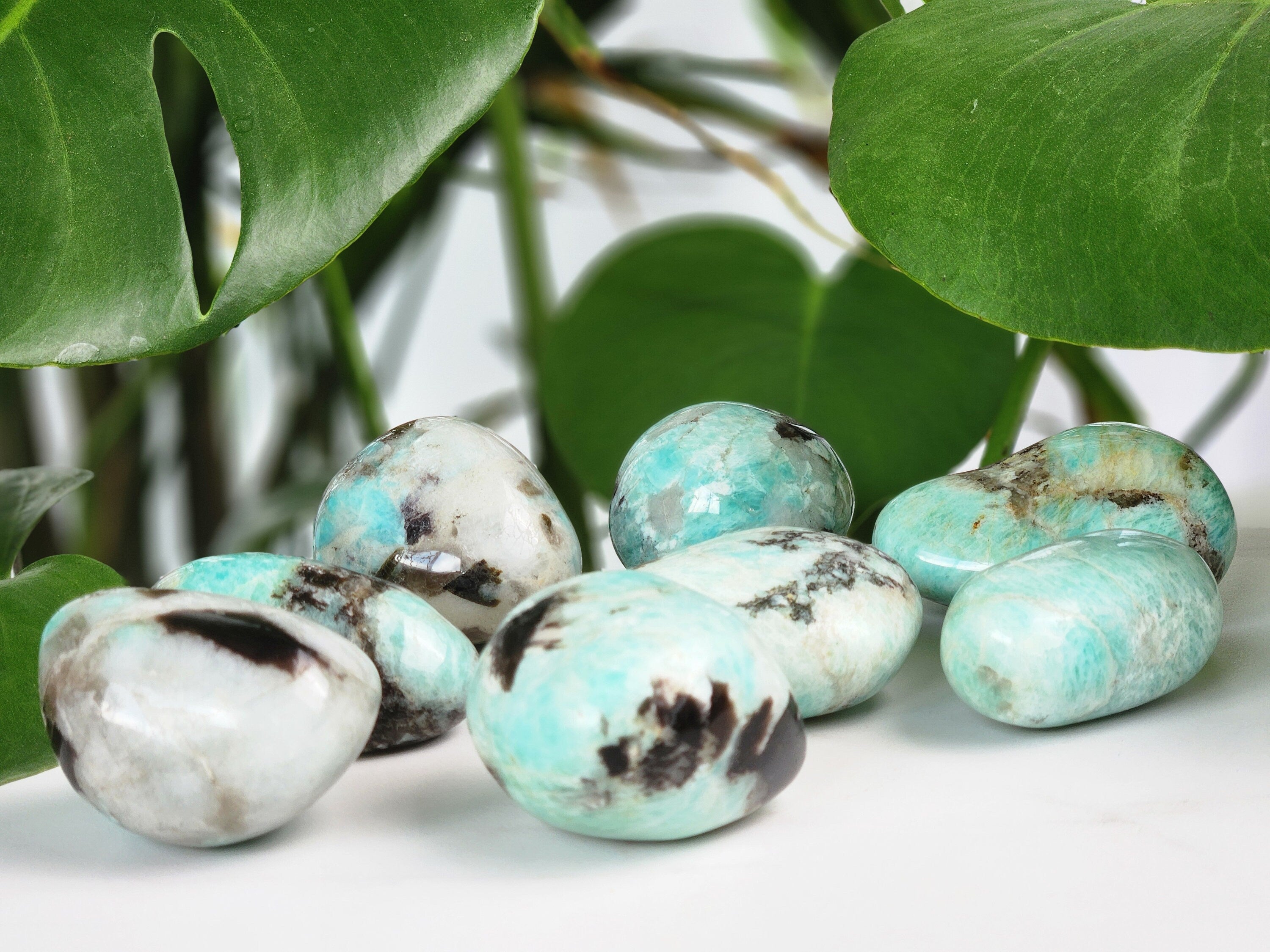 Amazonite Palm Stone