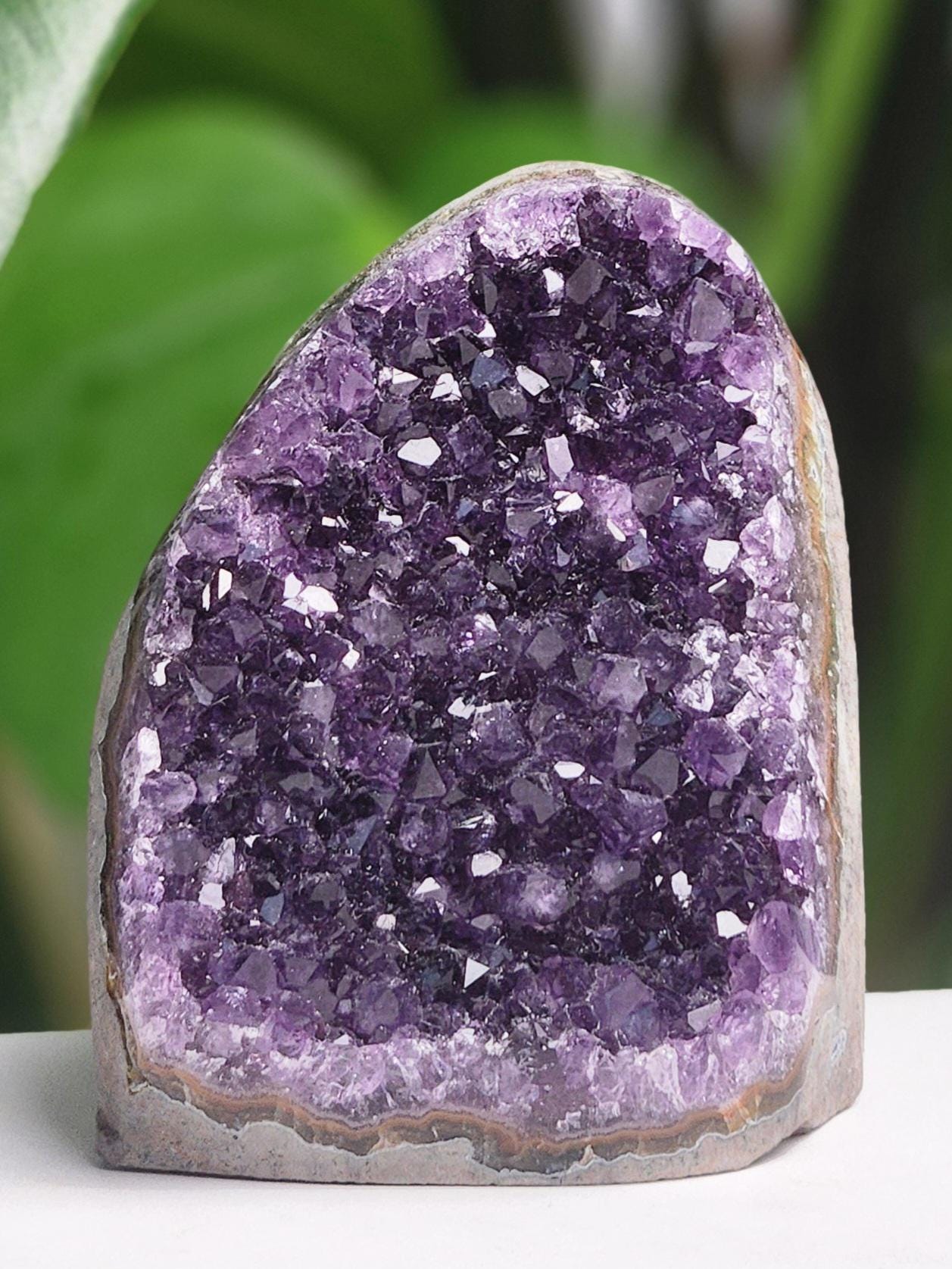 Amethyst Cut Base